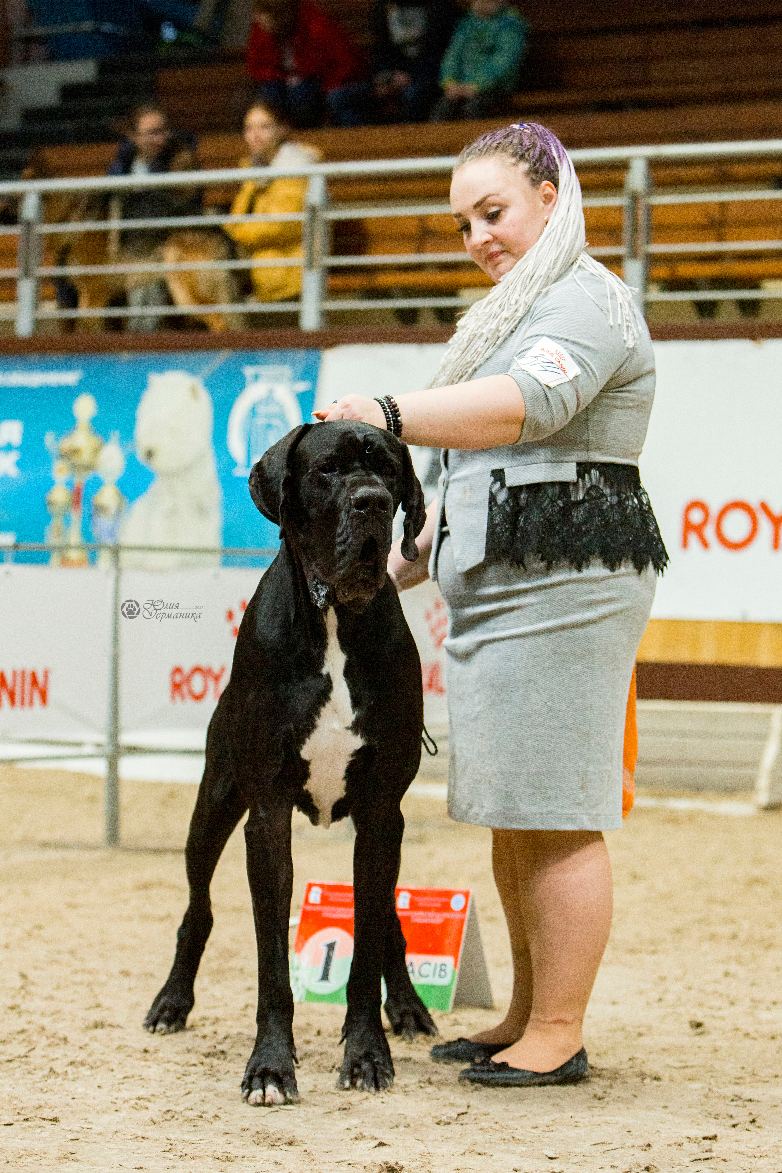 Минск 2хCACIB 27-28 ноября 2021. Фотограф-анималист Юлия Германика