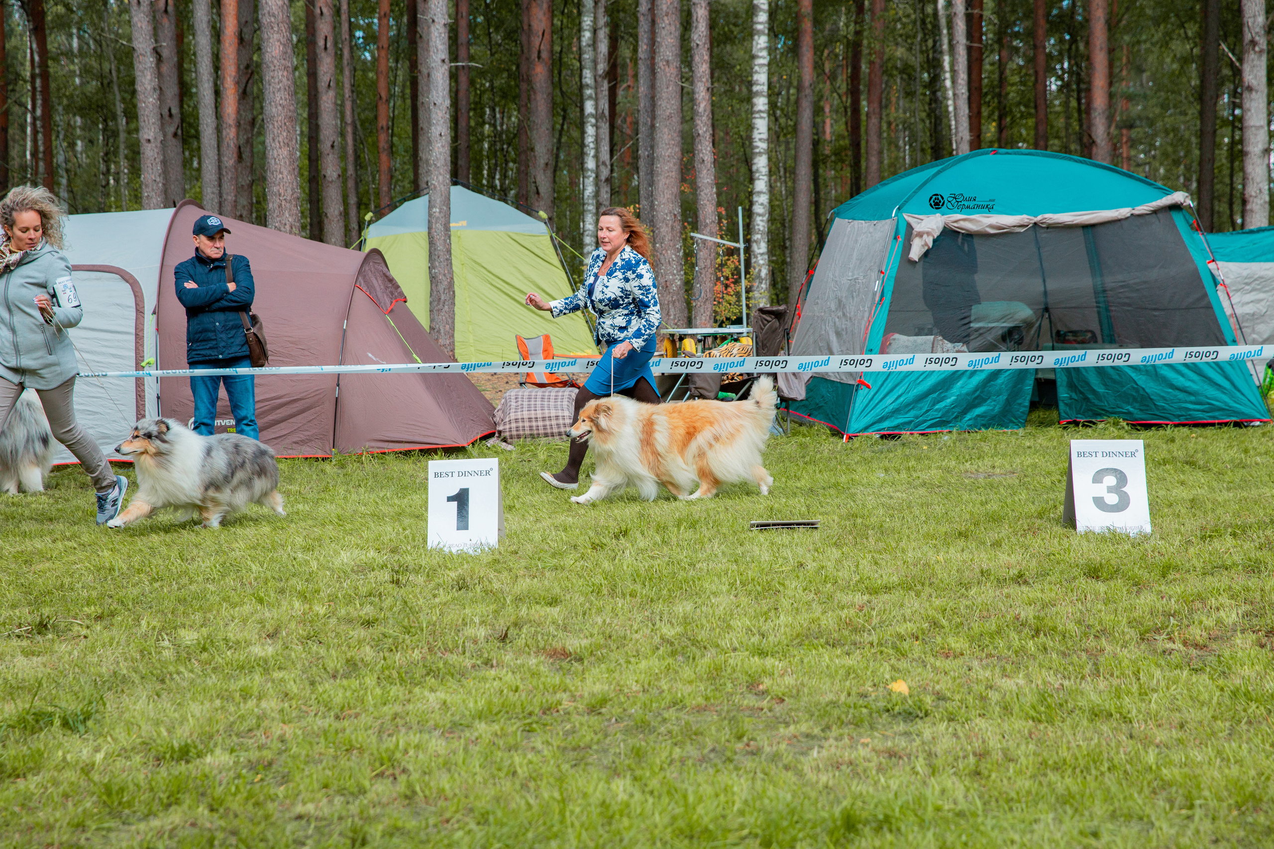 Псков 2xСАСIB 18-19 сентября 2021. Фотограф-анималист Юлия Германика