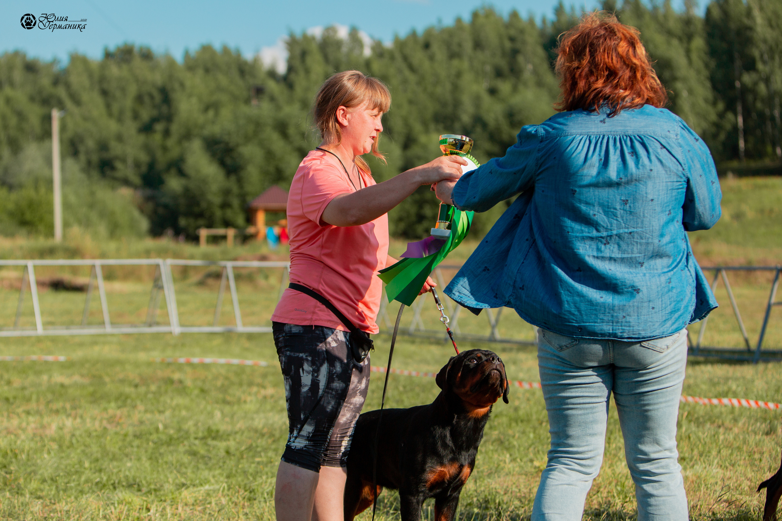 Рязань,Ховрино 14-15 августа 2021 моно ротвейлеров. Фотограф-анималист Юлия Германика