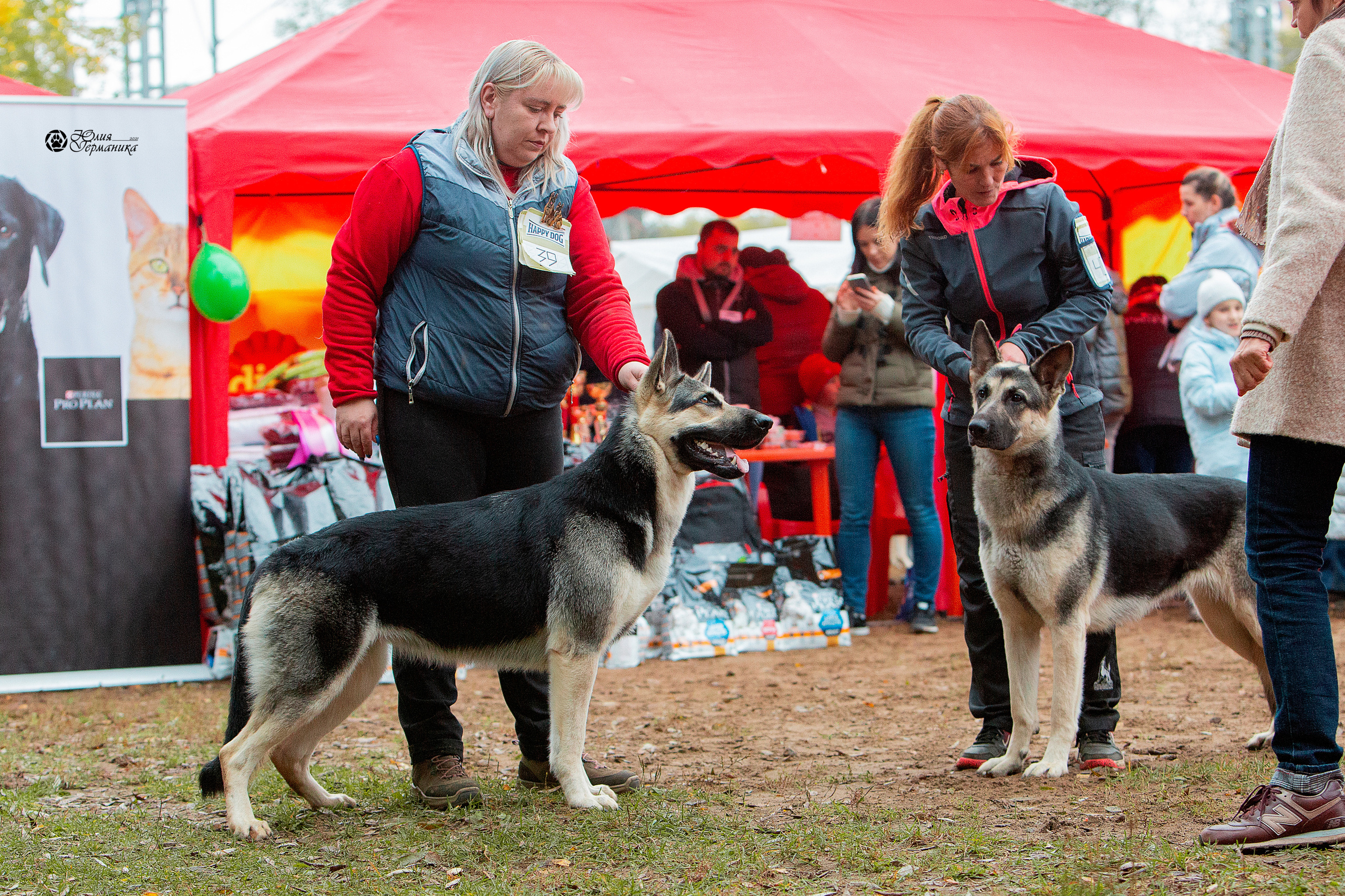 Сокольники 25 сентября Моно ВЕО Моншер Версаль. Фотограф-анималист Юлия Германика