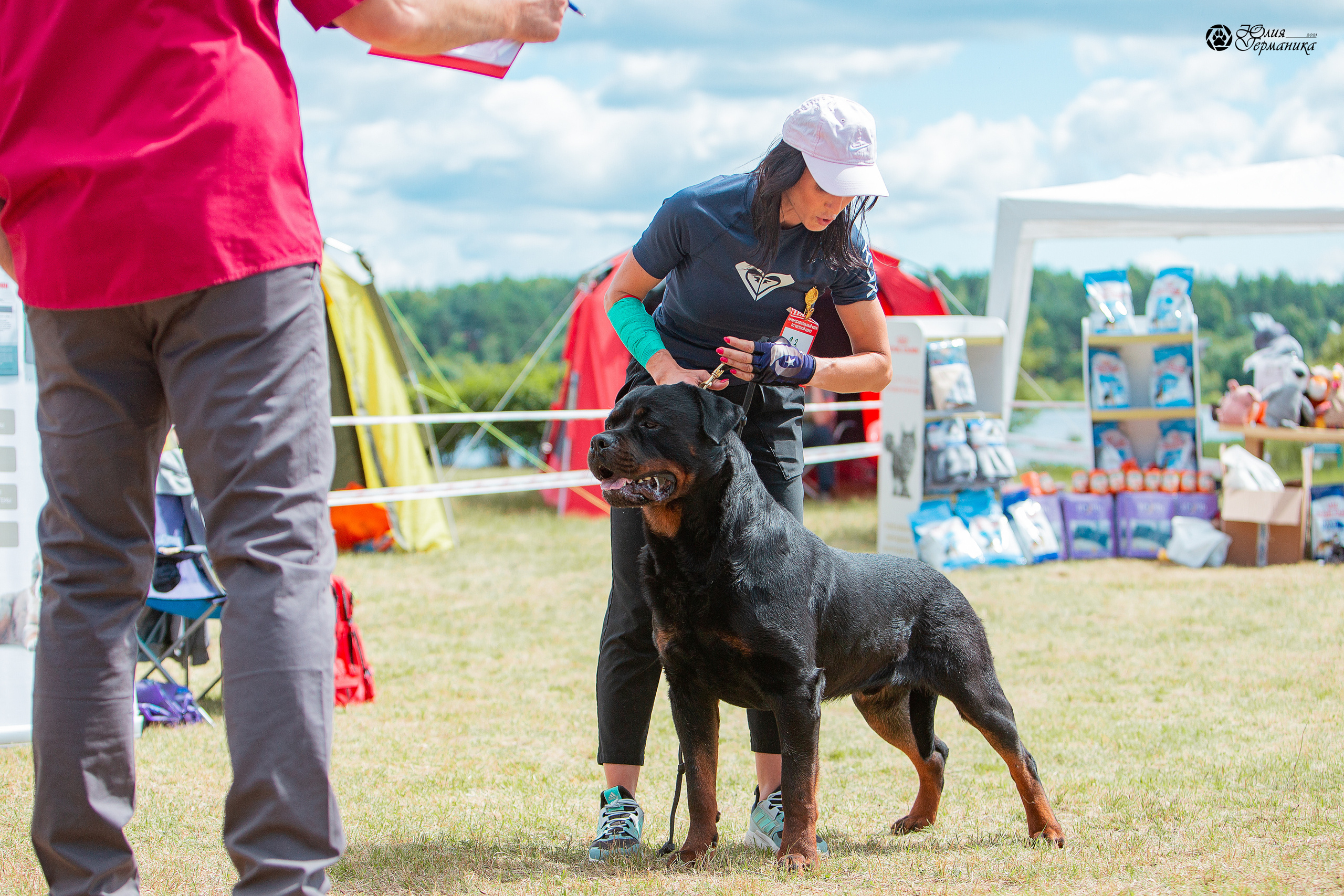 Тверь моно ротвейлеров 3-4 июля 2021. Фотограф-анималист Юлия Германика