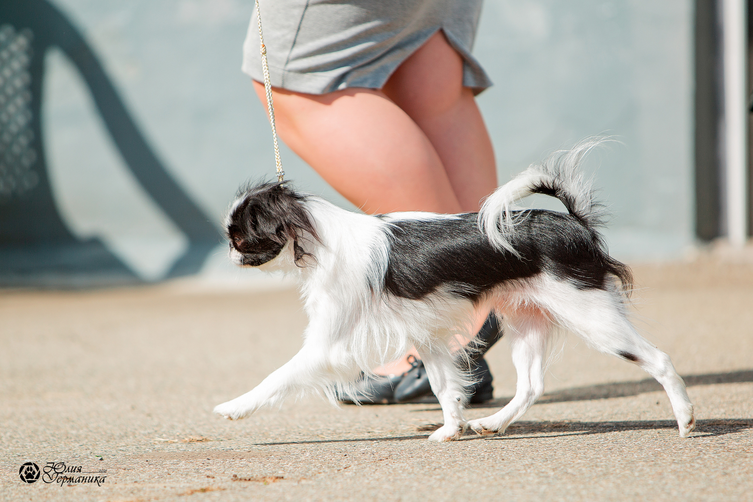 Майкоп САС 9 октября. Фотограф-анималист Юлия Германика