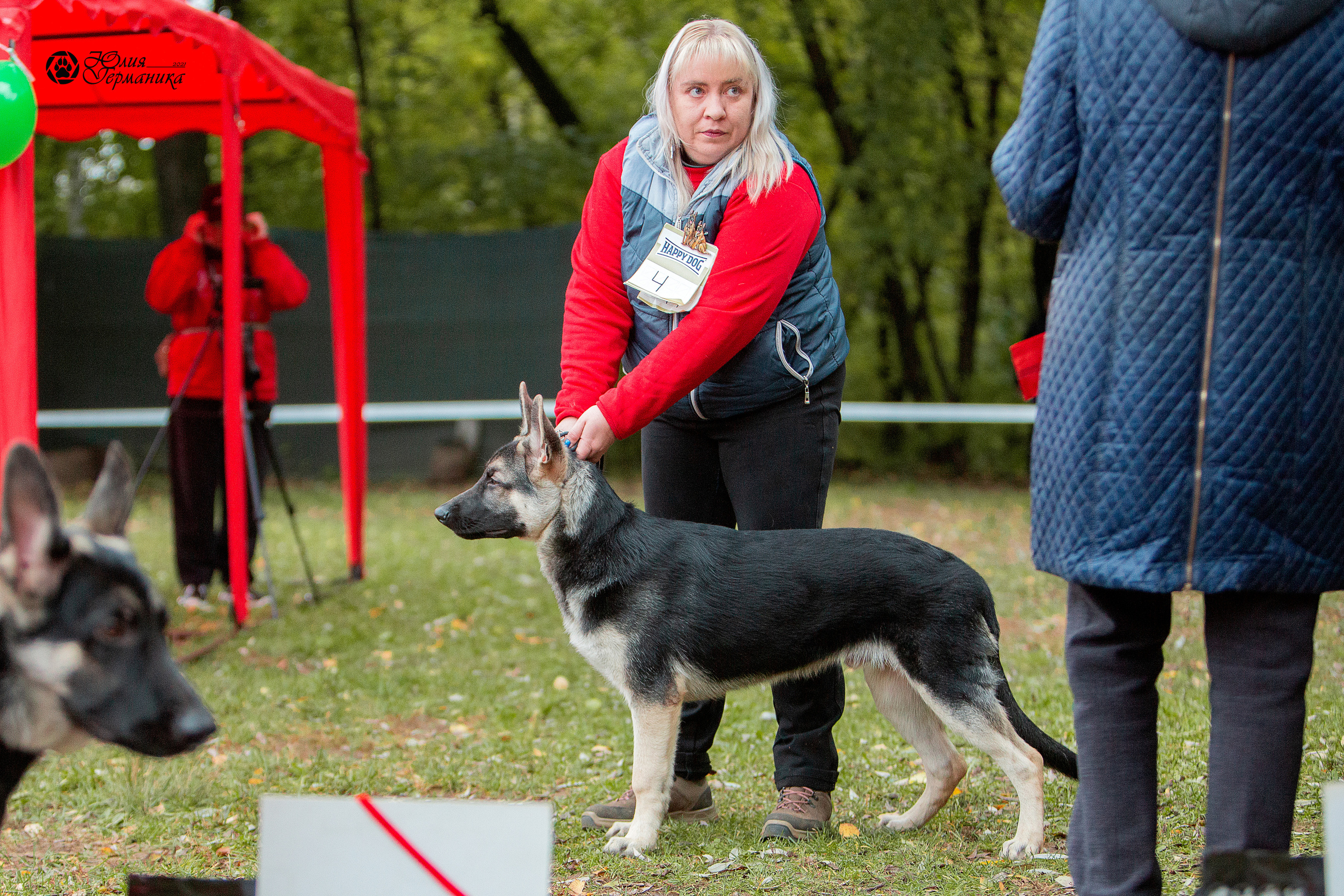 Сокольники 25 сентября Моно ВЕО Моншер Версаль. Фотограф-анималист Юлия Германика