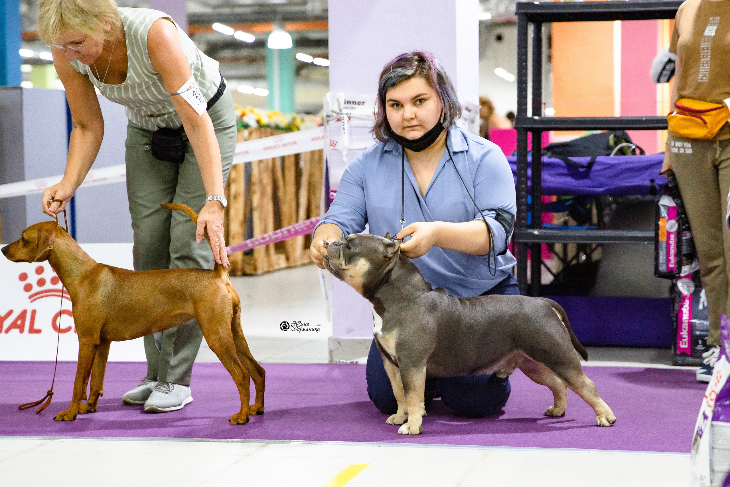 Чайна-Таун 2021. Фотограф-анималист Юлия Германика
