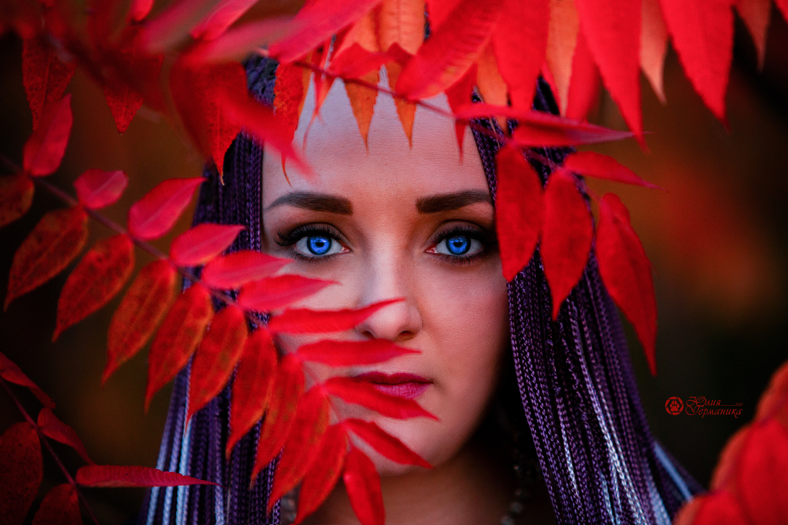 Свободная съемка. Фотограф-анималист Юлия Германика