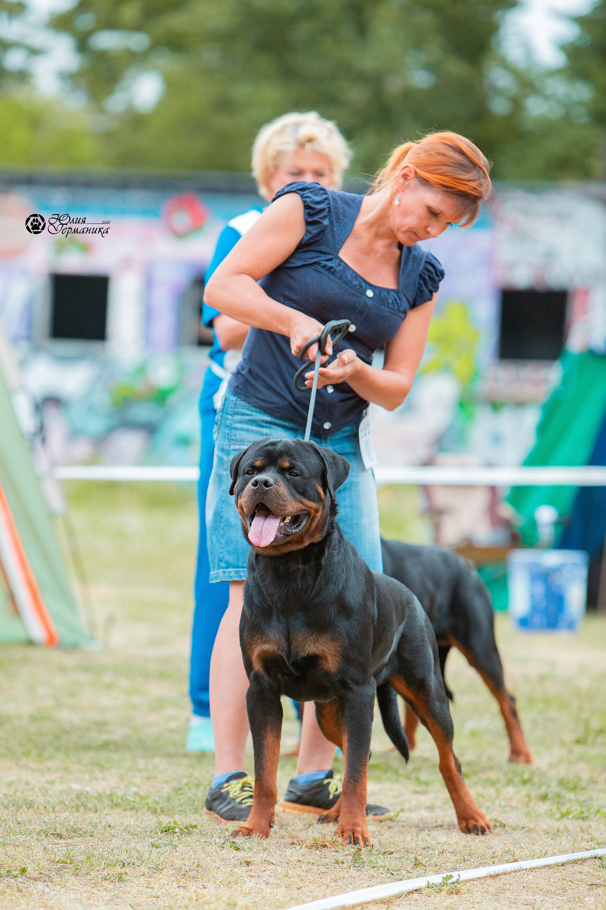 Монопородные выставки. Фотограф-анималист Юлия Германика