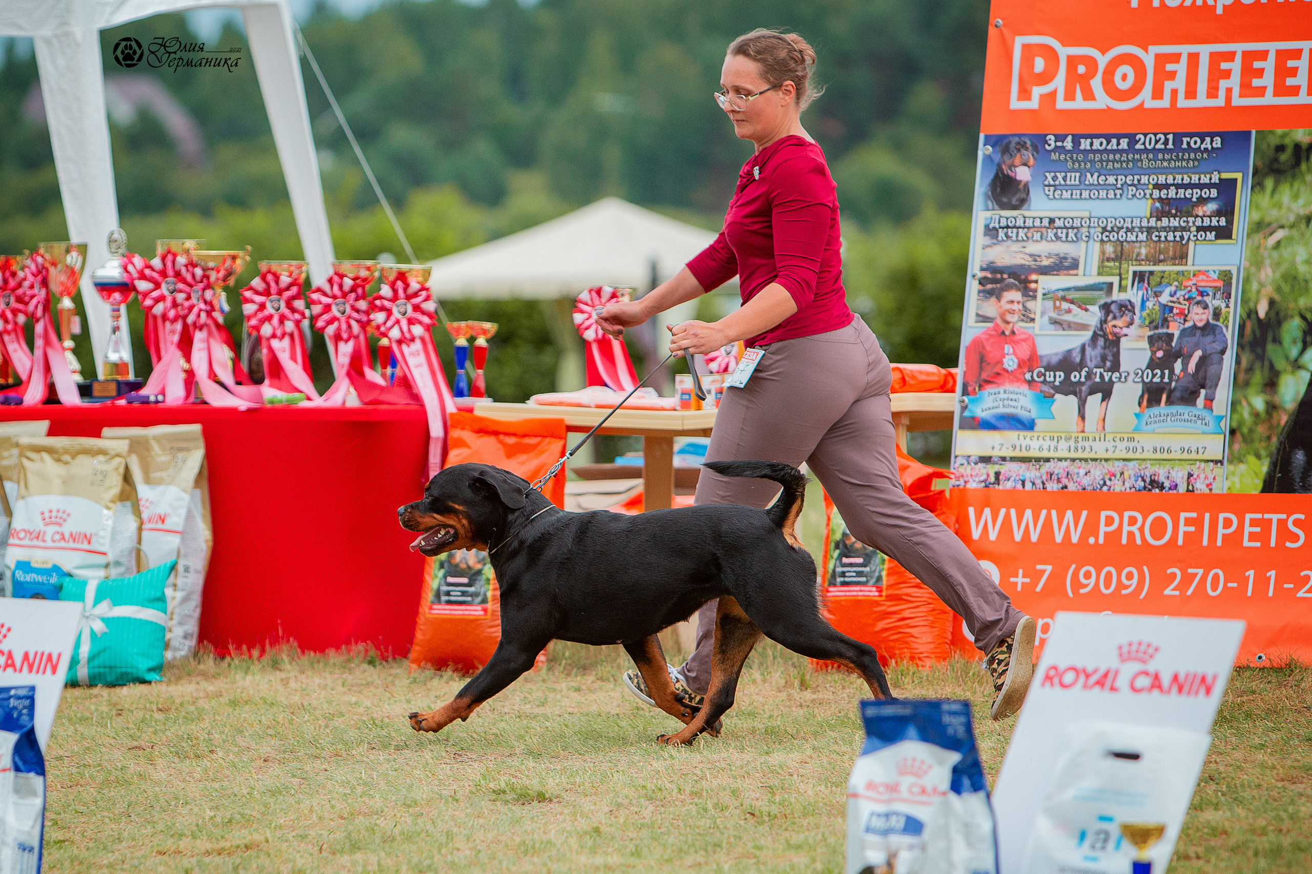 Тверь моно ротвейлеров 3-4 июля 2021. Фотограф-анималист Юлия Германика