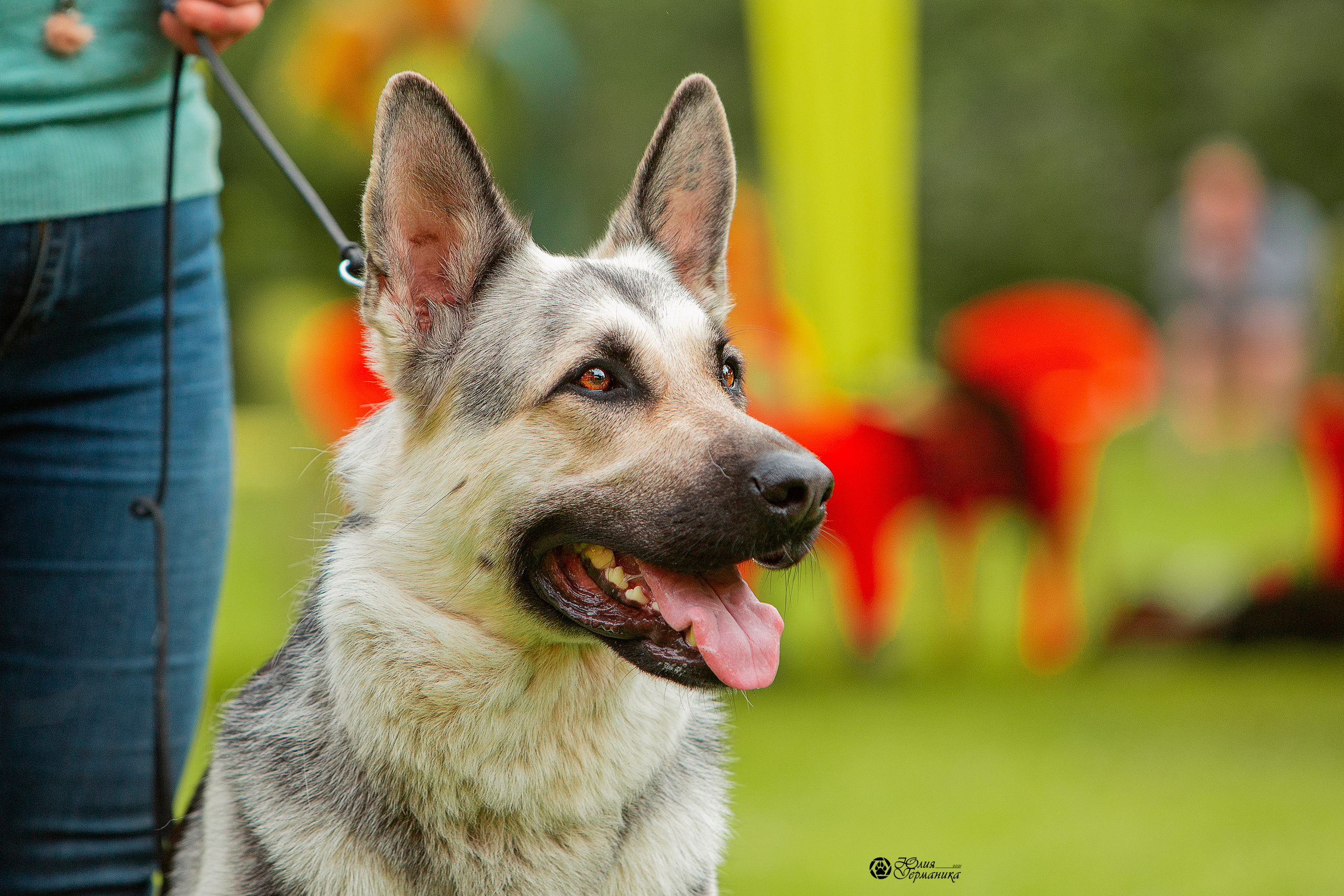 Сокольники CAC 22 августа 2021. Фотограф-анималист Юлия Германика