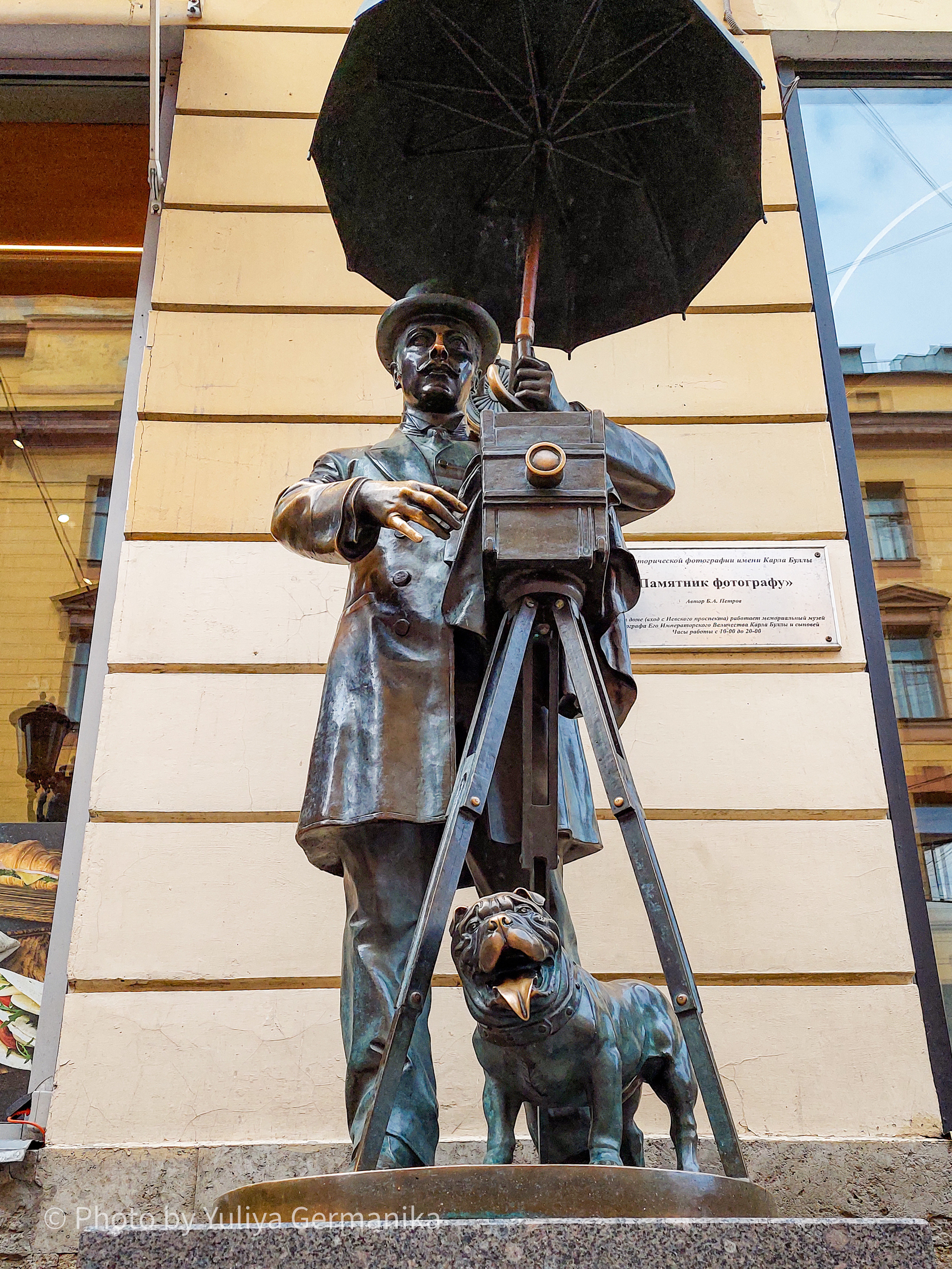 Разные фото на телефон.Города,природа. Фотограф-анималист Юлия Германика