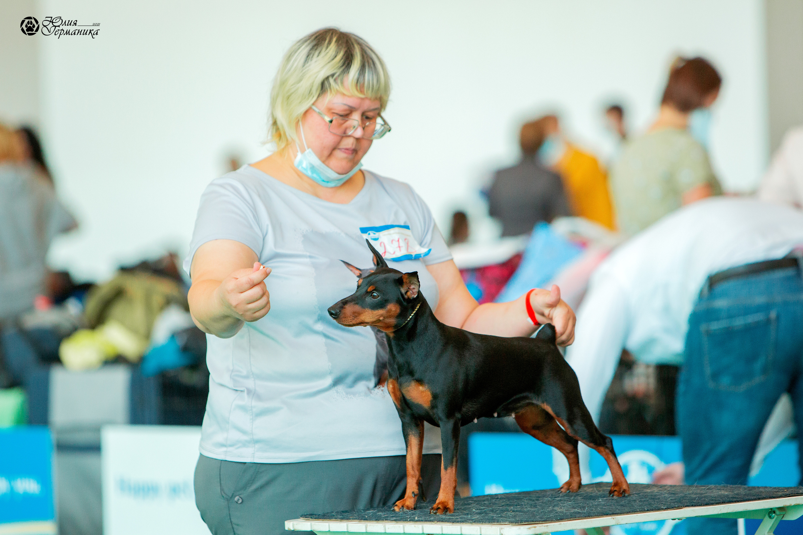 Нижний Новгород 3хCACIB 15-17 октября 2021. Фотограф-анималист Юлия Германика
