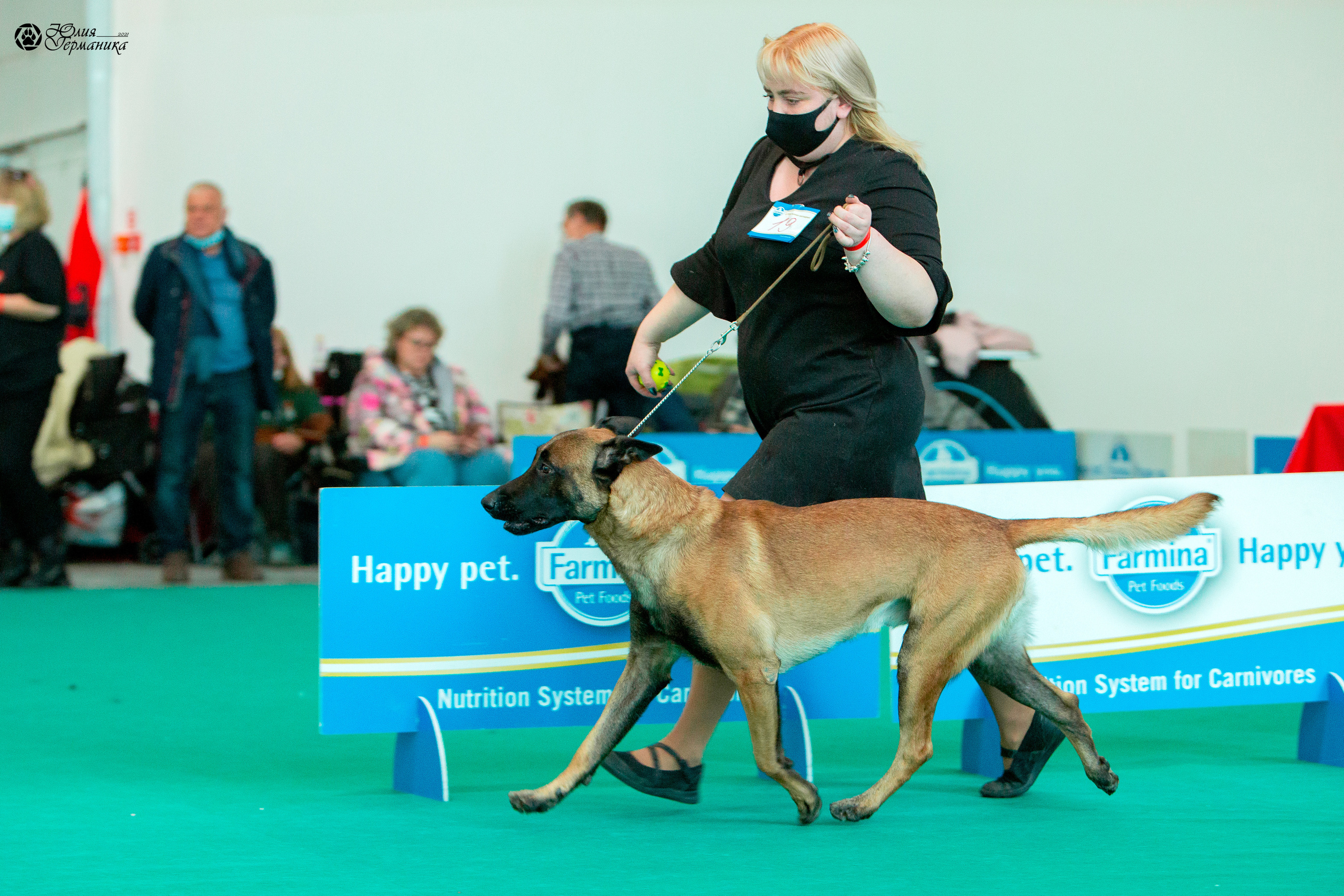 Нижний Новгород 3хCACIB 15-17 октября 2021. Фотограф-анималист Юлия Германика