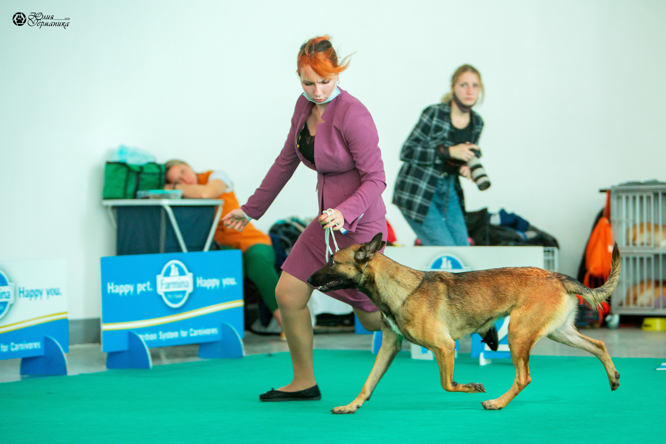 Нижний Новгород 3хCACIB 15-17 октября 2021. Фотограф-анималист Юлия Германика