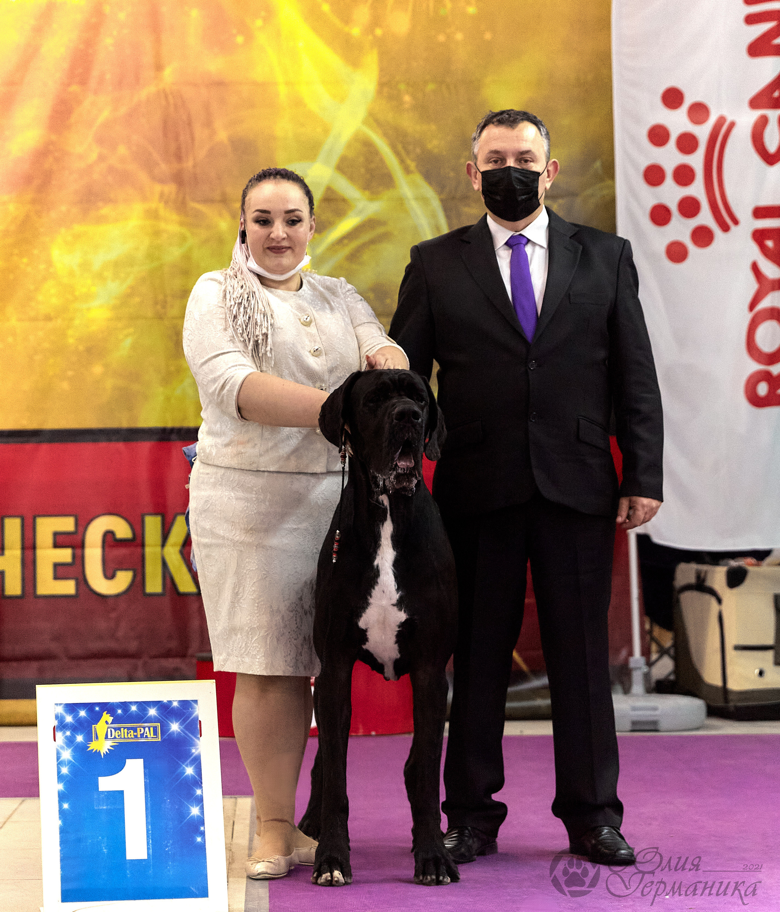 Чайник  13-14 ноября 2021. Фотограф-анималист Юлия Германика