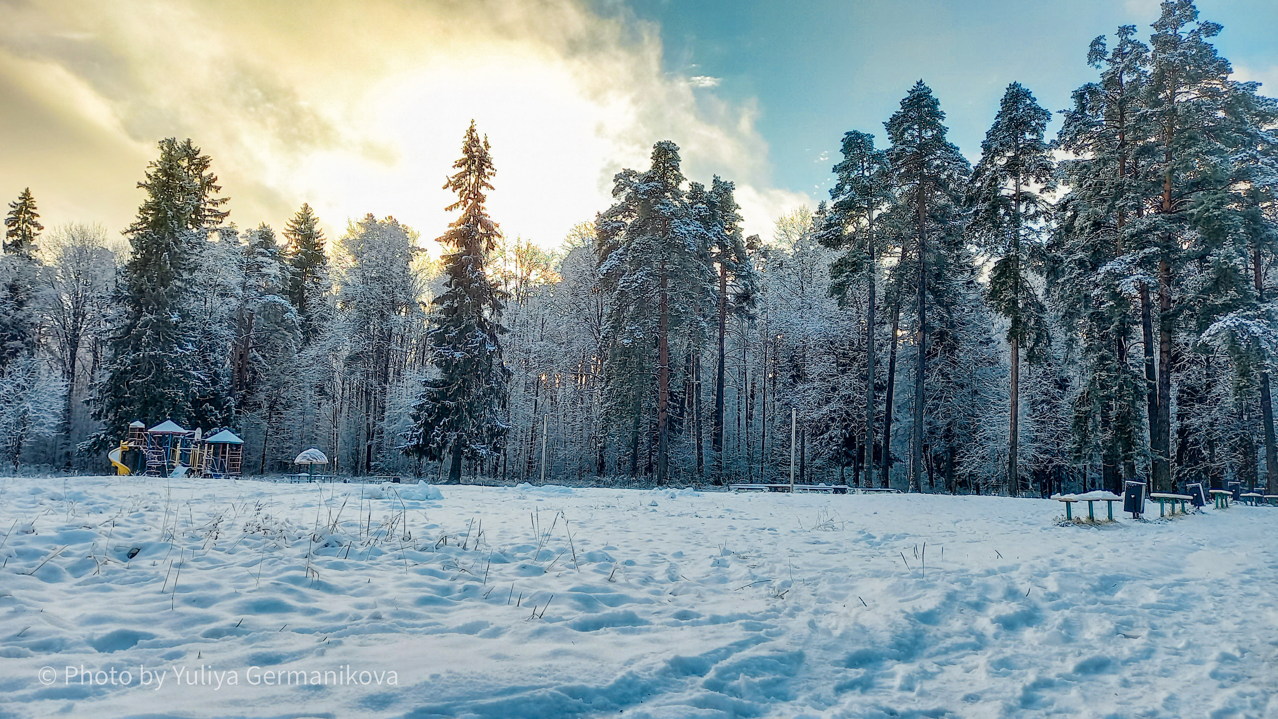 Разные фото на телефон.Города,природа. Фотограф-анималист Юлия Германика