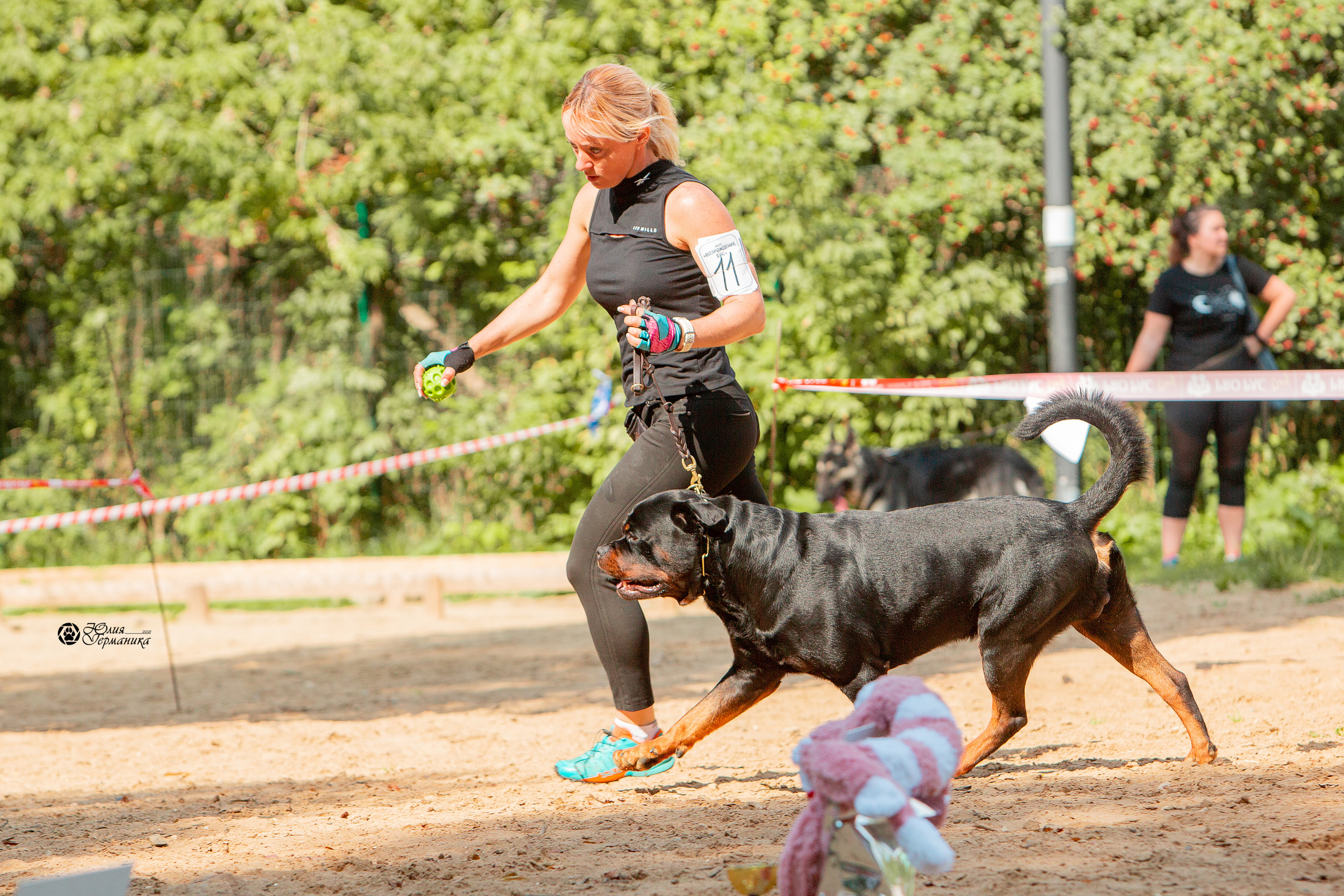 Рязань,Ховрино 14-15 августа 2021 моно ротвейлеров. Фотограф-анималист Юлия Германика