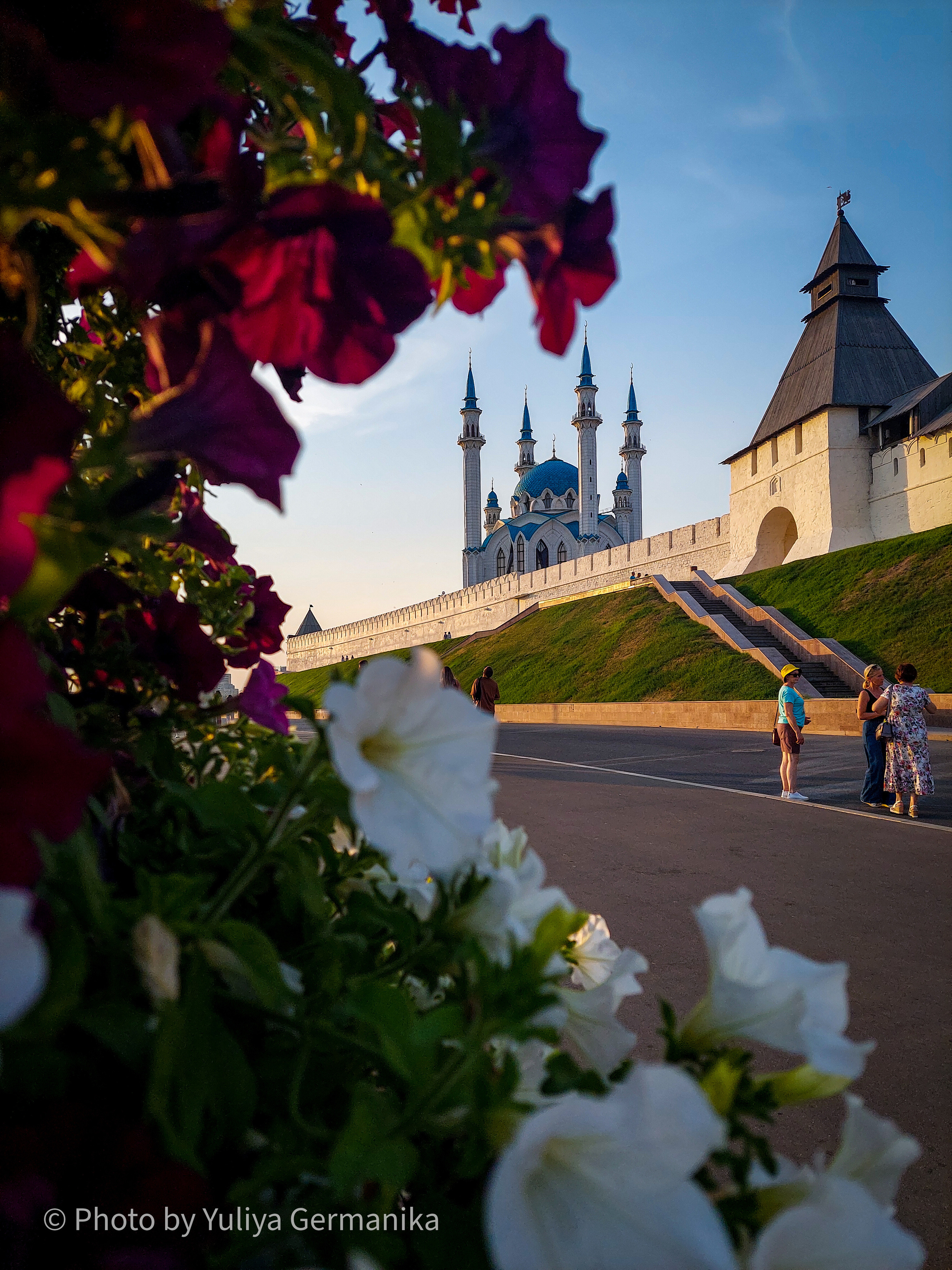 Разные фото на телефон.Города,природа. Фотограф-анималист Юлия Германика