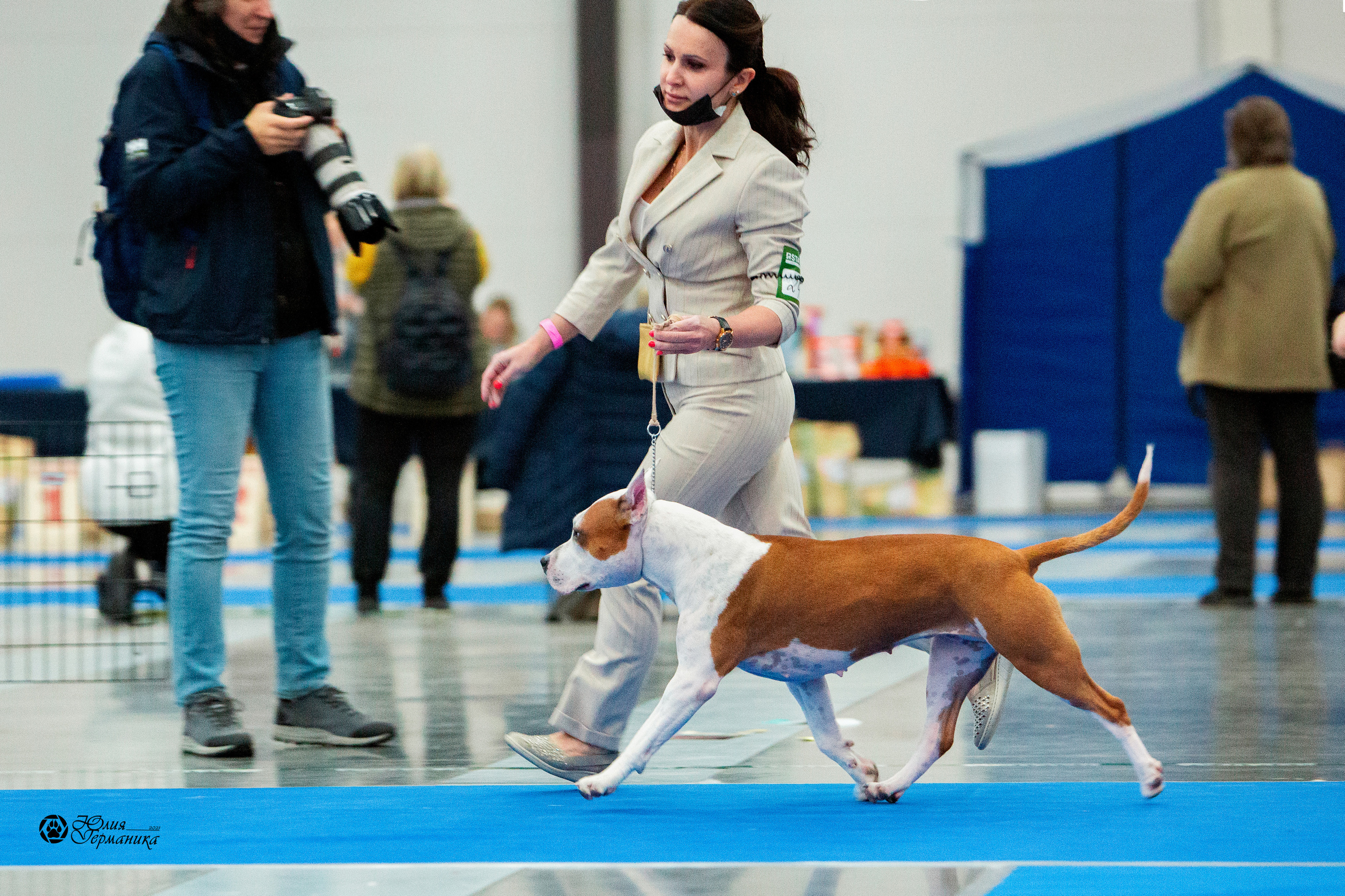 Питер 4 CACIB 22-25 октября 2021. Фотограф-анималист Юлия Германика