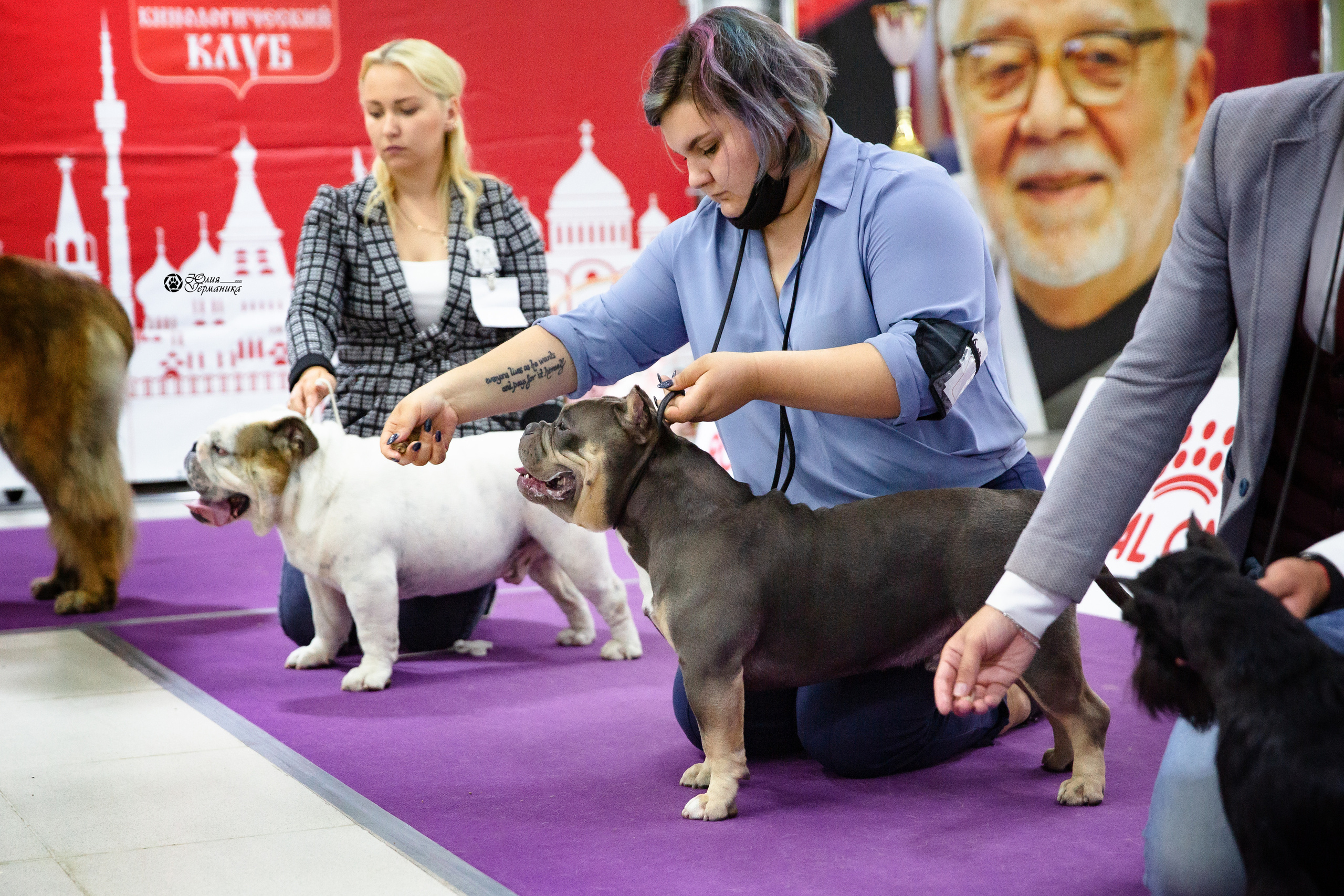 Чайна-Таун 2021. Фотограф-анималист Юлия Германика