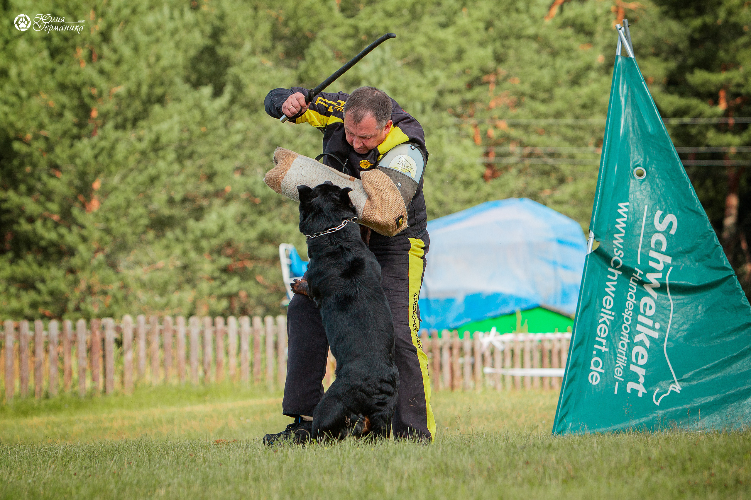 Тверь моно ротвейлеров 3-4 июля 2021. Фотограф-анималист Юлия Германика