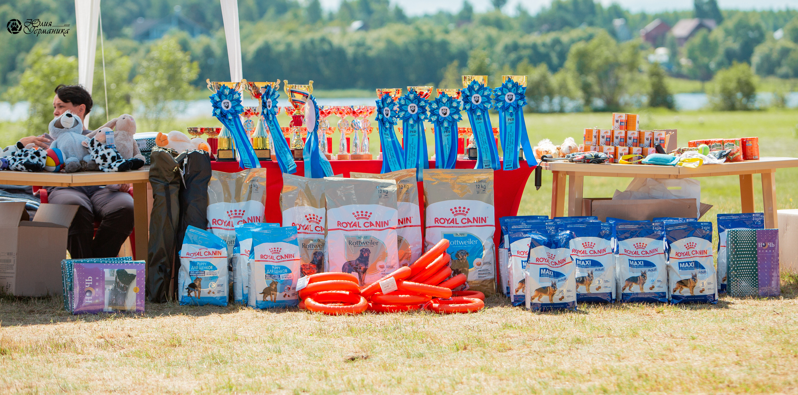 Тверь моно ротвейлеров 3-4 июля 2021. Фотограф-анималист Юлия Германика