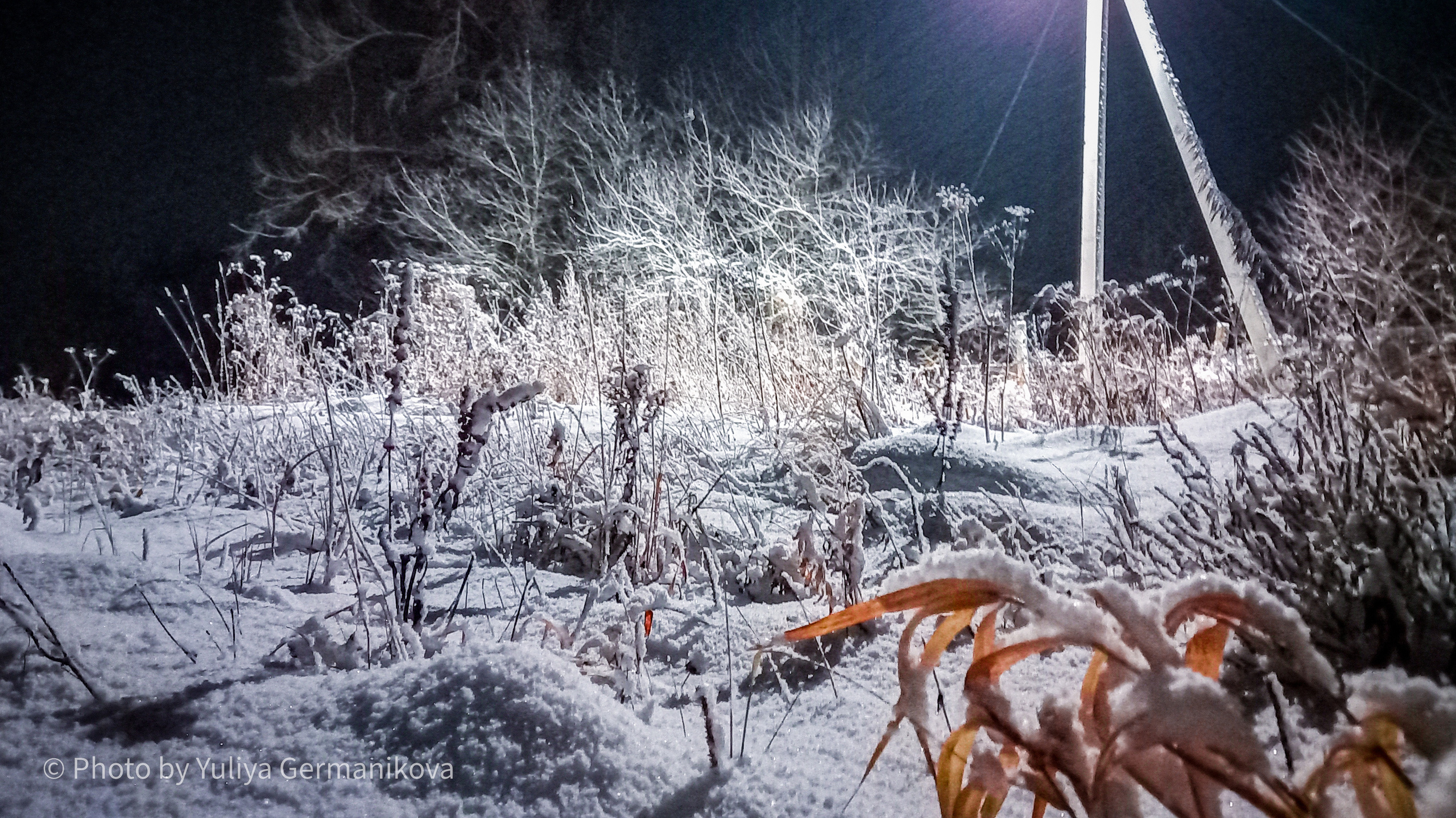 Разные фото на телефон.Города,природа. Фотограф-анималист Юлия Германика