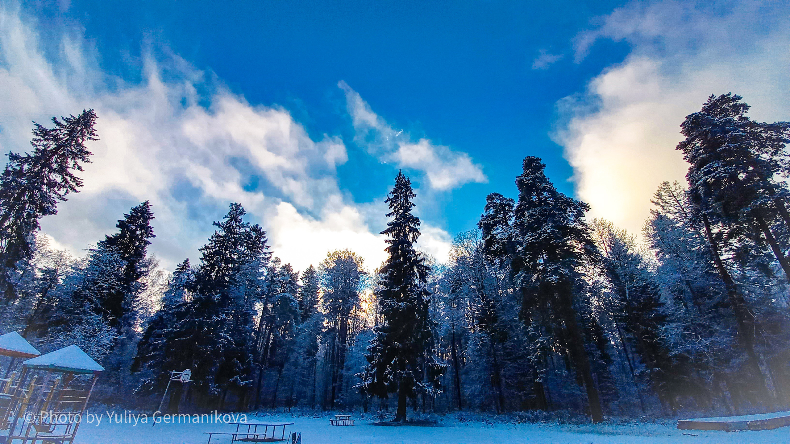 Разные фото на телефон.Города,природа. Фотограф-анималист Юлия Германика
