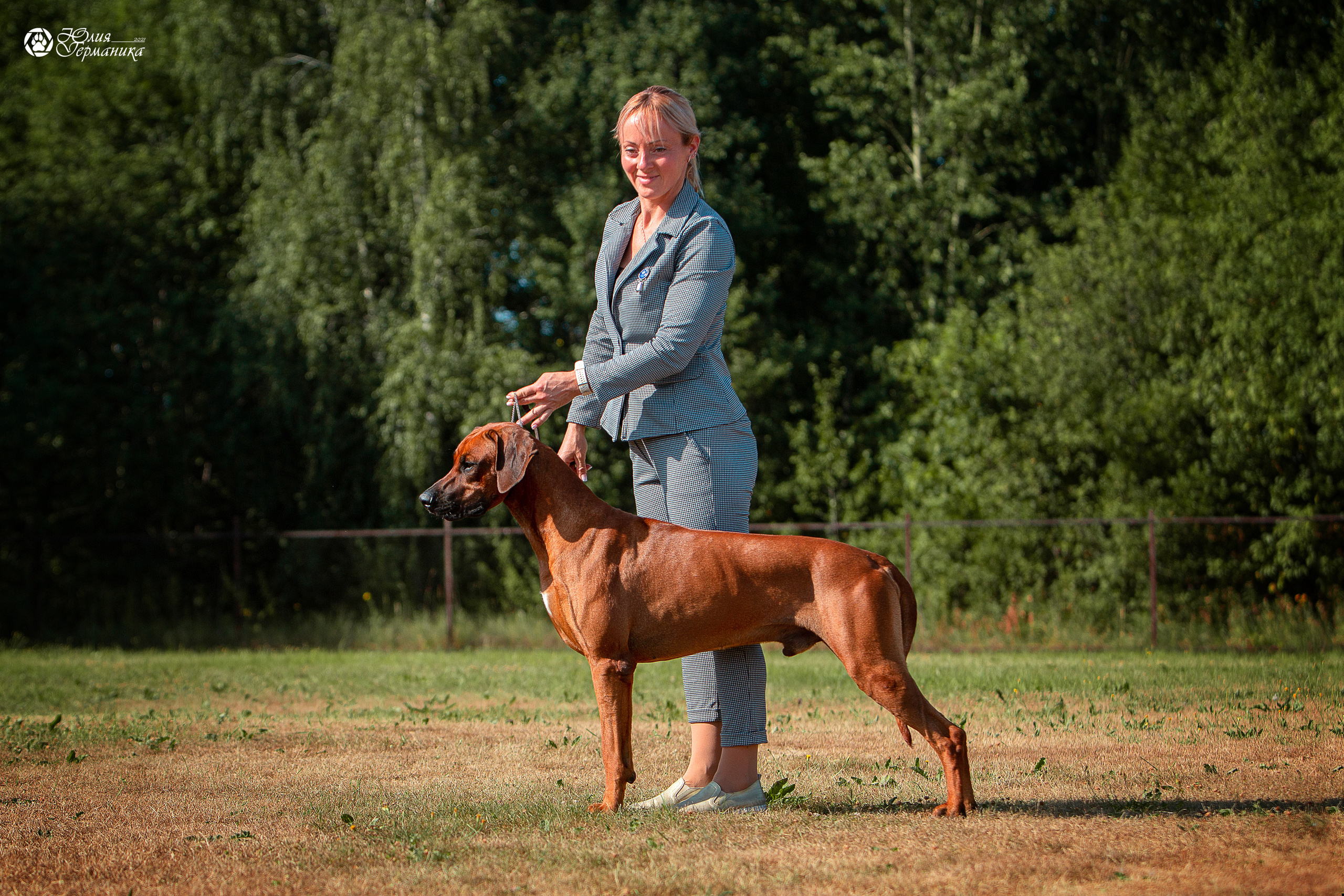 Свободная съемка. Фотограф-анималист Юлия Германика