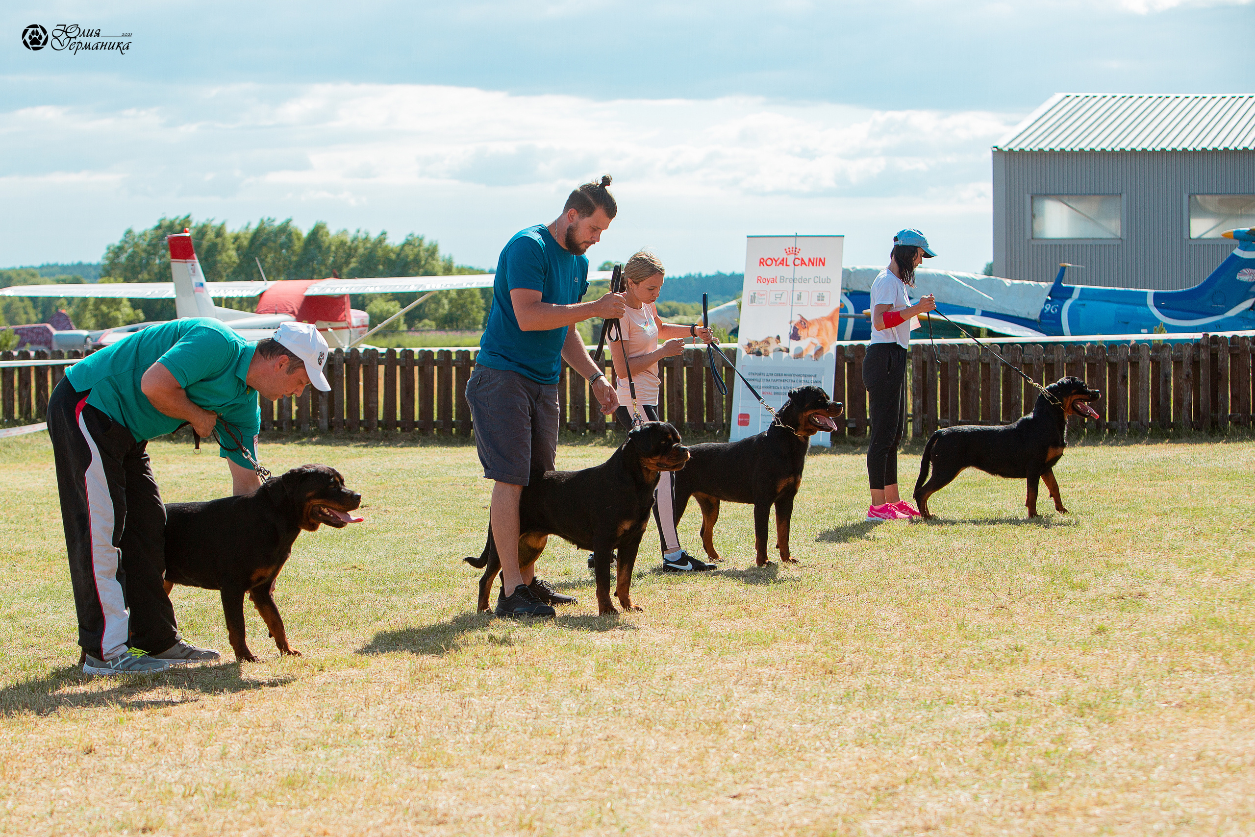 Тверь моно ротвейлеров 3-4 июля 2021. Фотограф-анималист Юлия Германика