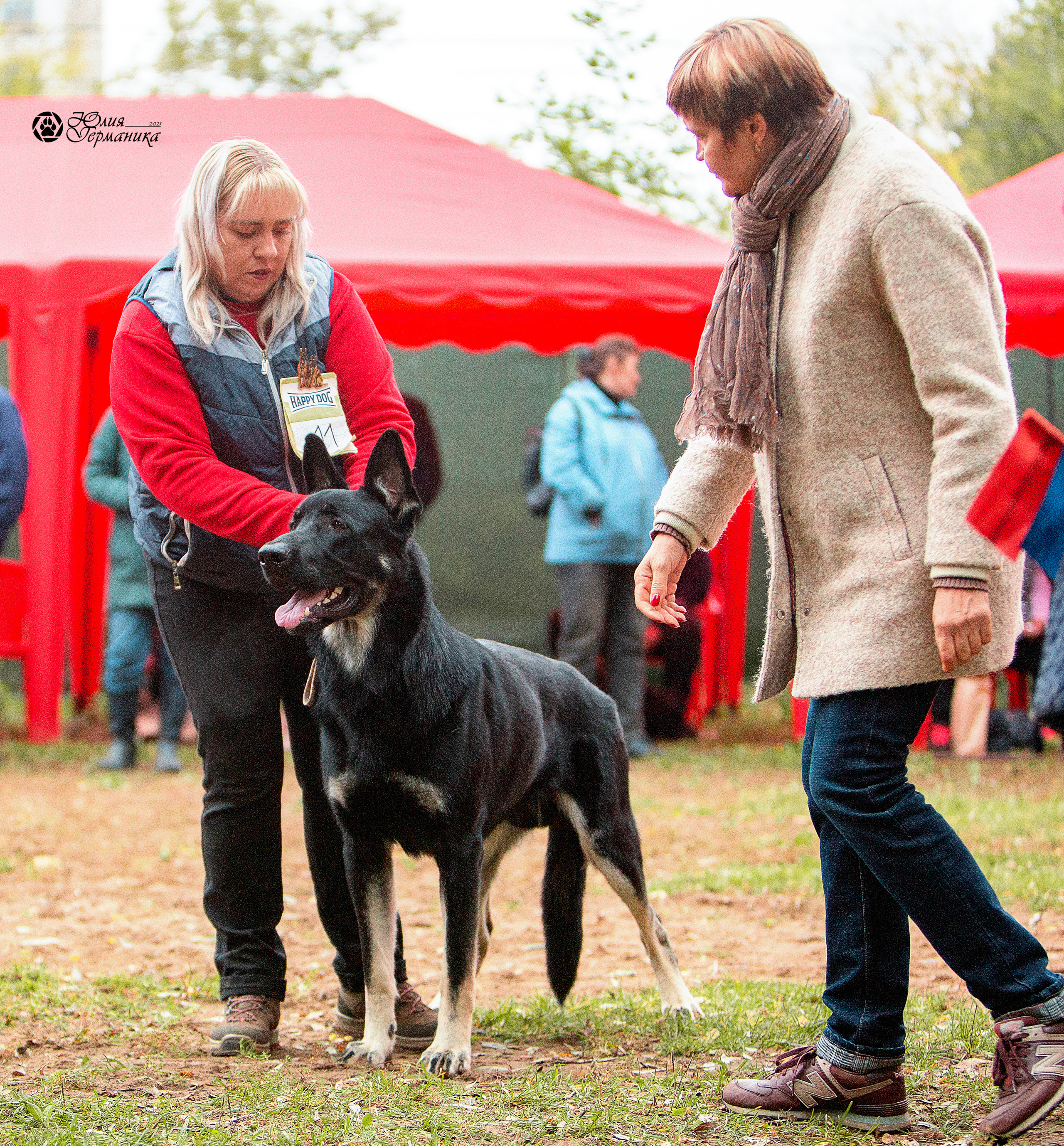 Сокольники 25 сентября Моно ВЕО Моншер Версаль. Фотограф-анималист Юлия Германика