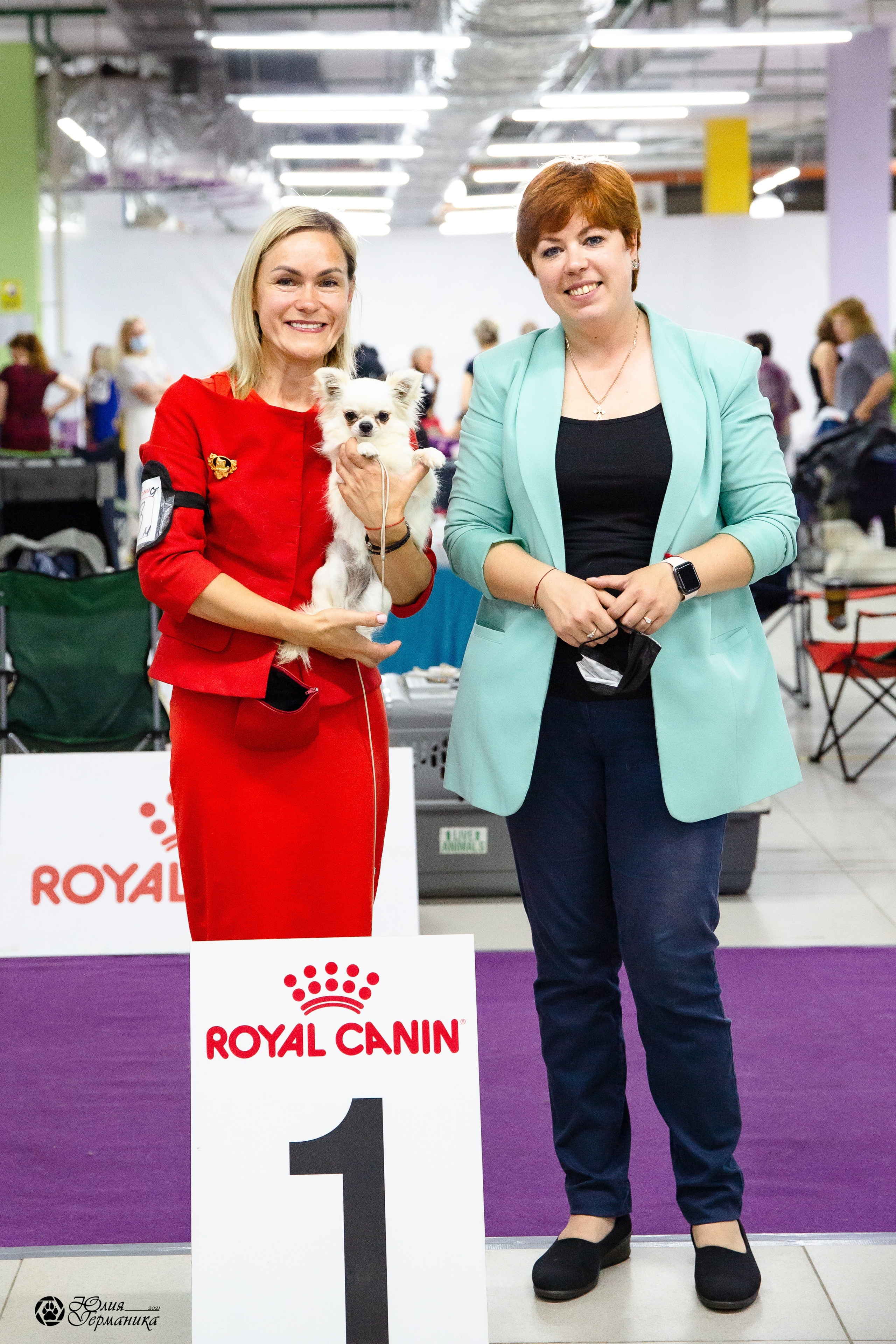 Чайна-Таун 2021. Фотограф-анималист Юлия Германика