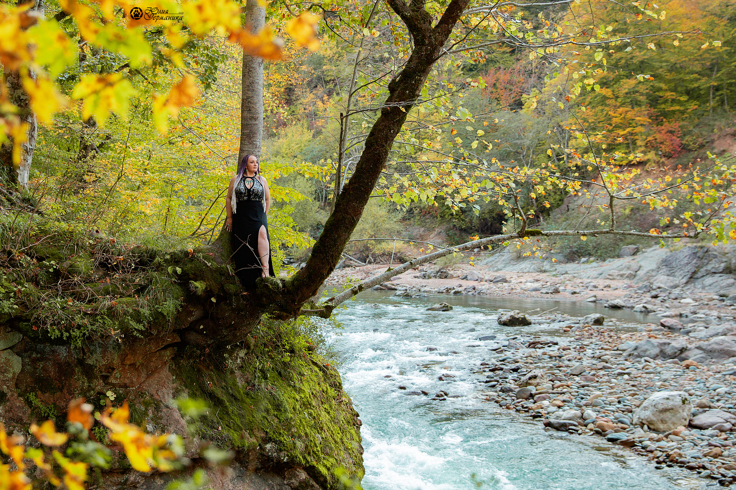 Свободная съемка. Фотограф-анималист Юлия Германика
