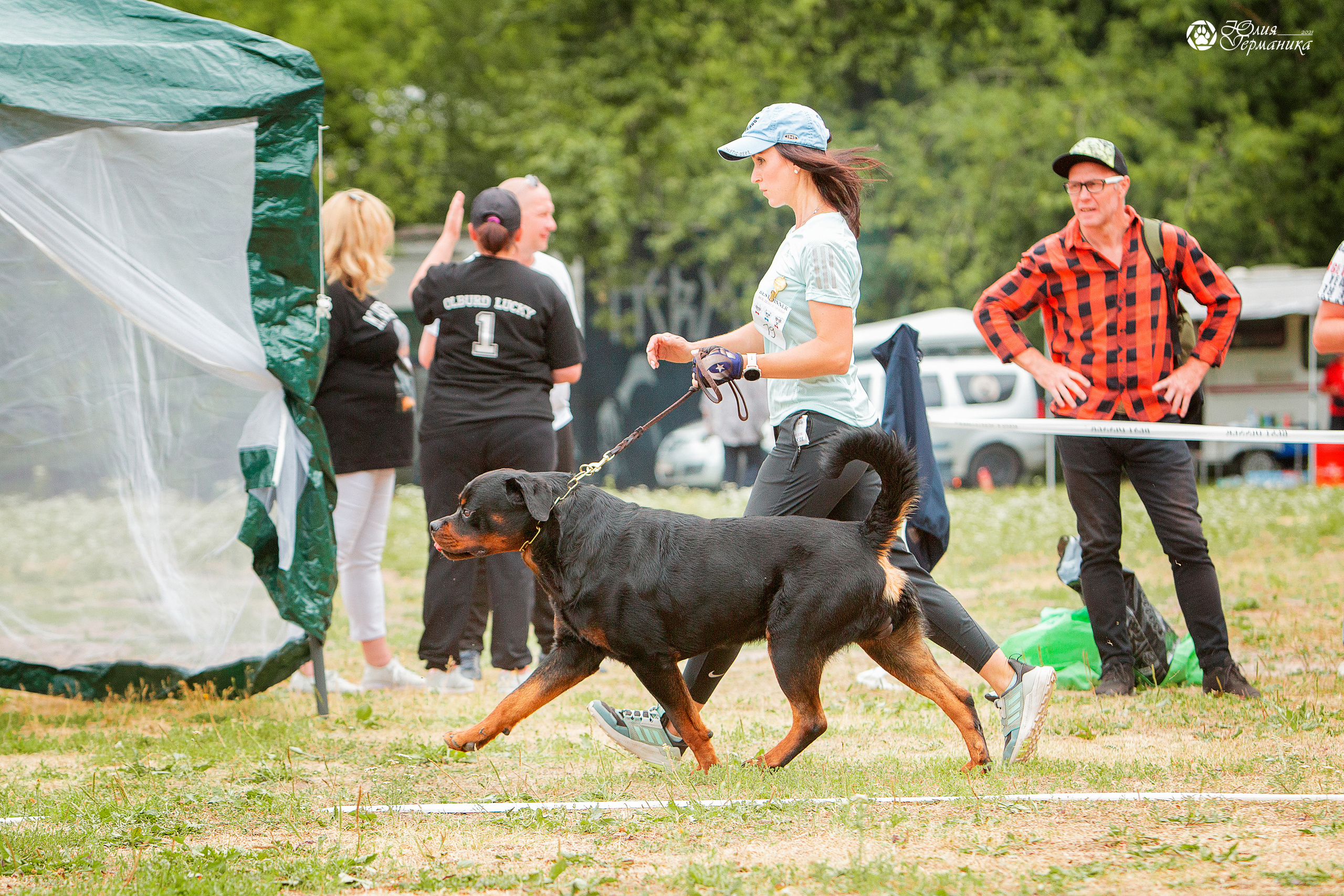 Монопородные выставки. Фотограф-анималист Юлия Германика