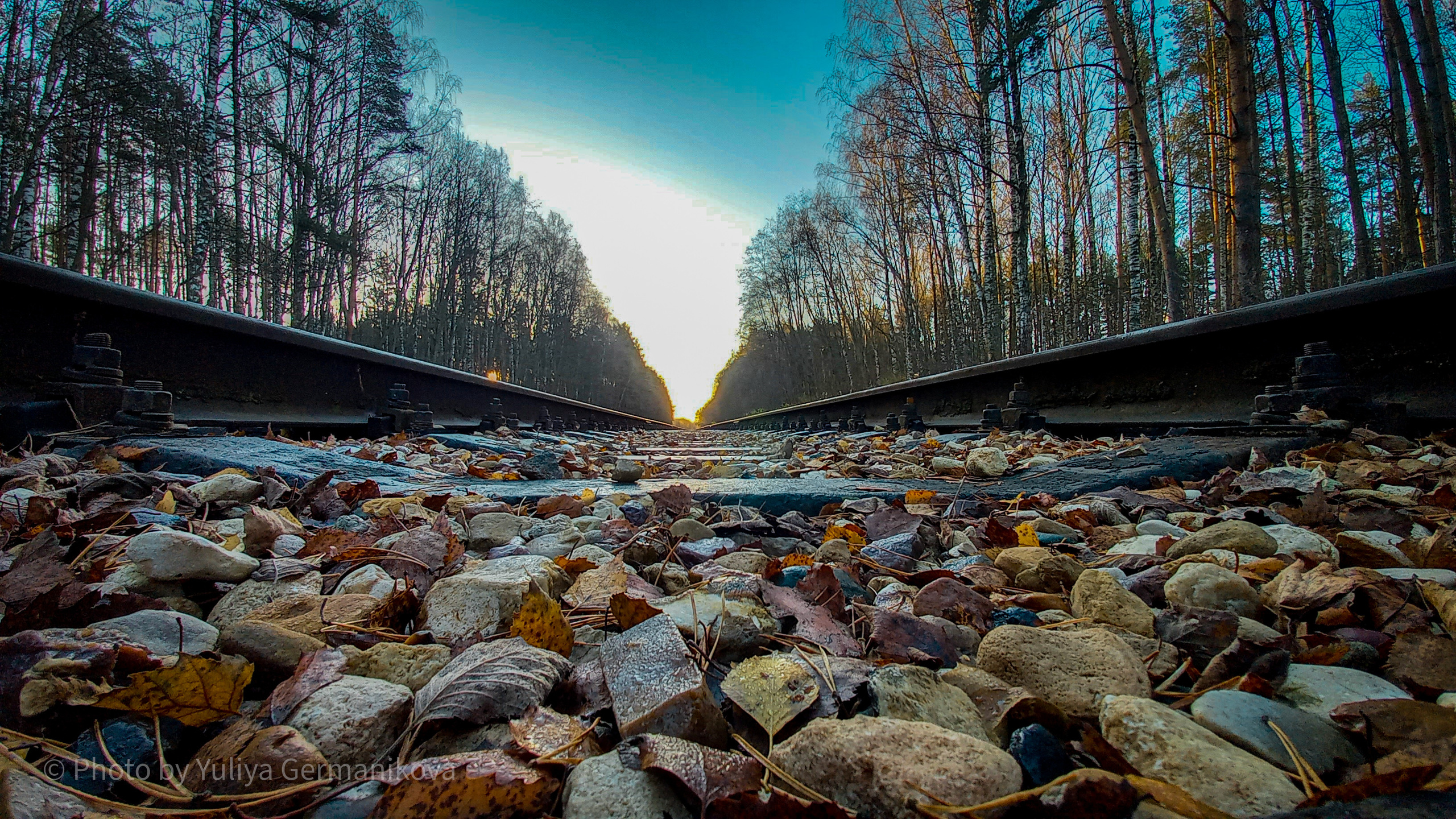 Разные фото на телефон.Города,природа. Фотограф-анималист Юлия Германика