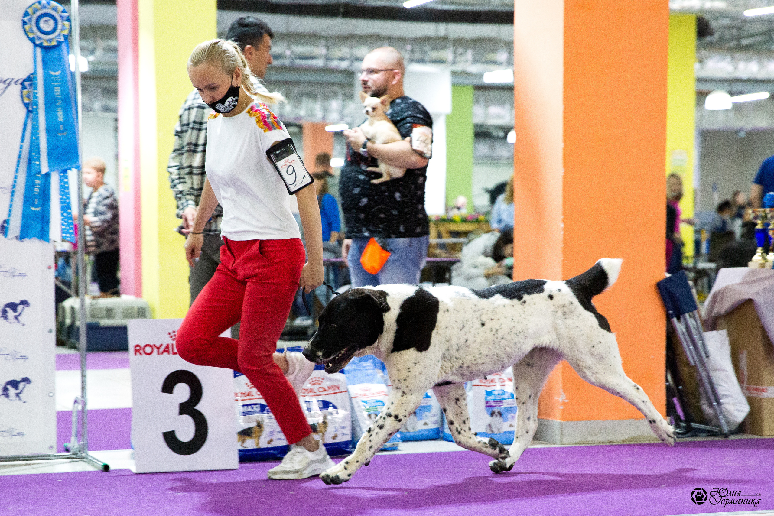 Чайна-Таун 2021. Фотограф-анималист Юлия Германика