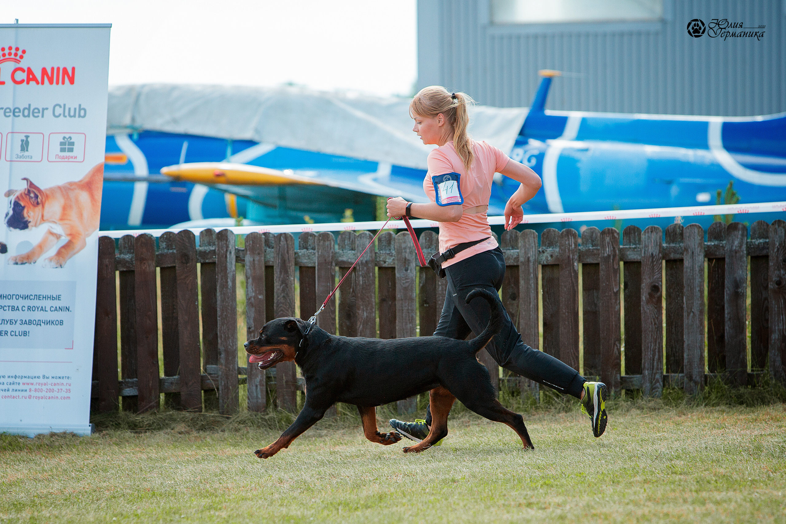 Тверь моно ротвейлеров 3-4 июля 2021. Фотограф-анималист Юлия Германика