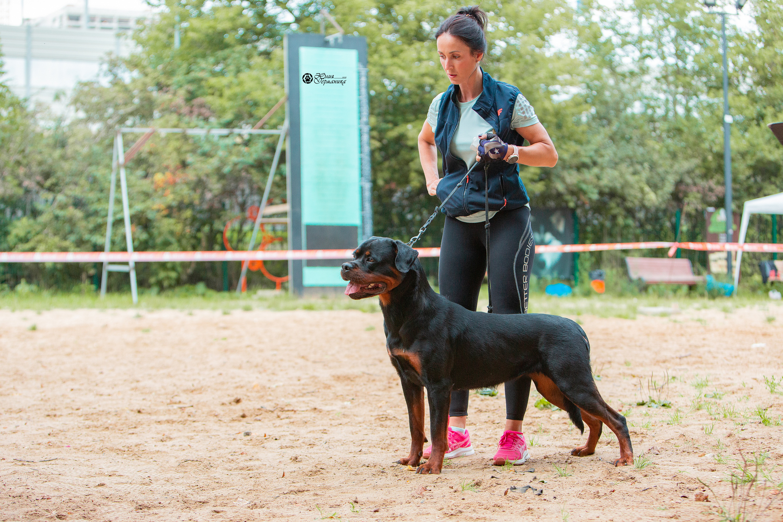 Рязань,Ховрино 14-15 августа 2021 моно ротвейлеров. Фотограф-анималист Юлия Германика