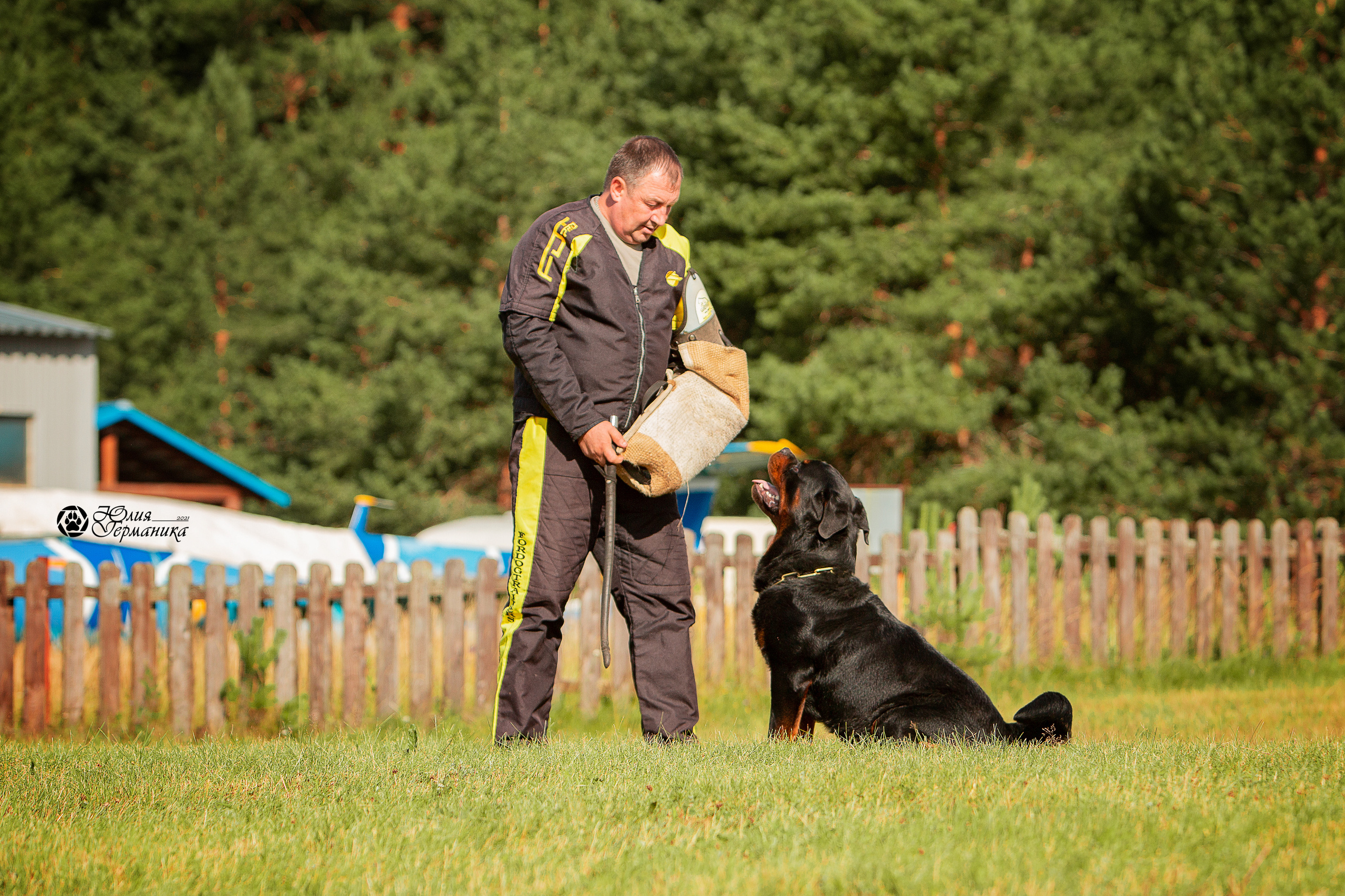 Тверь моно ротвейлеров 3-4 июля 2021. Фотограф-анималист Юлия Германика