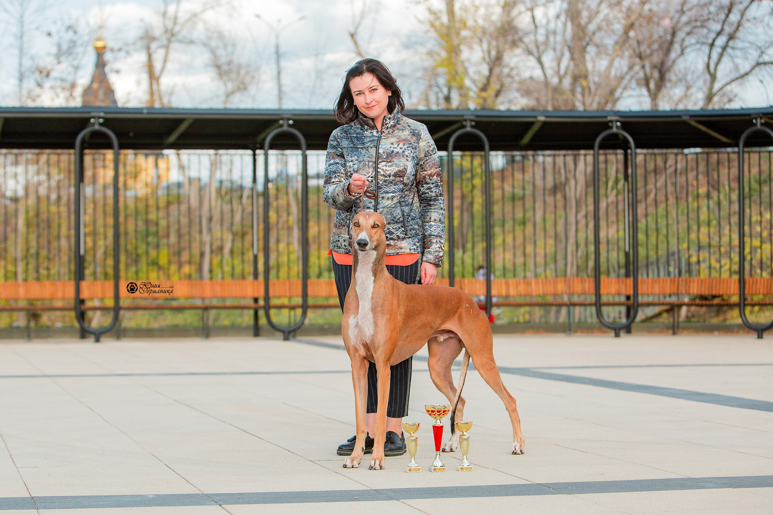 Нижний Новгород 3хCACIB 15-17 октября 2021. Фотограф-анималист Юлия Германика
