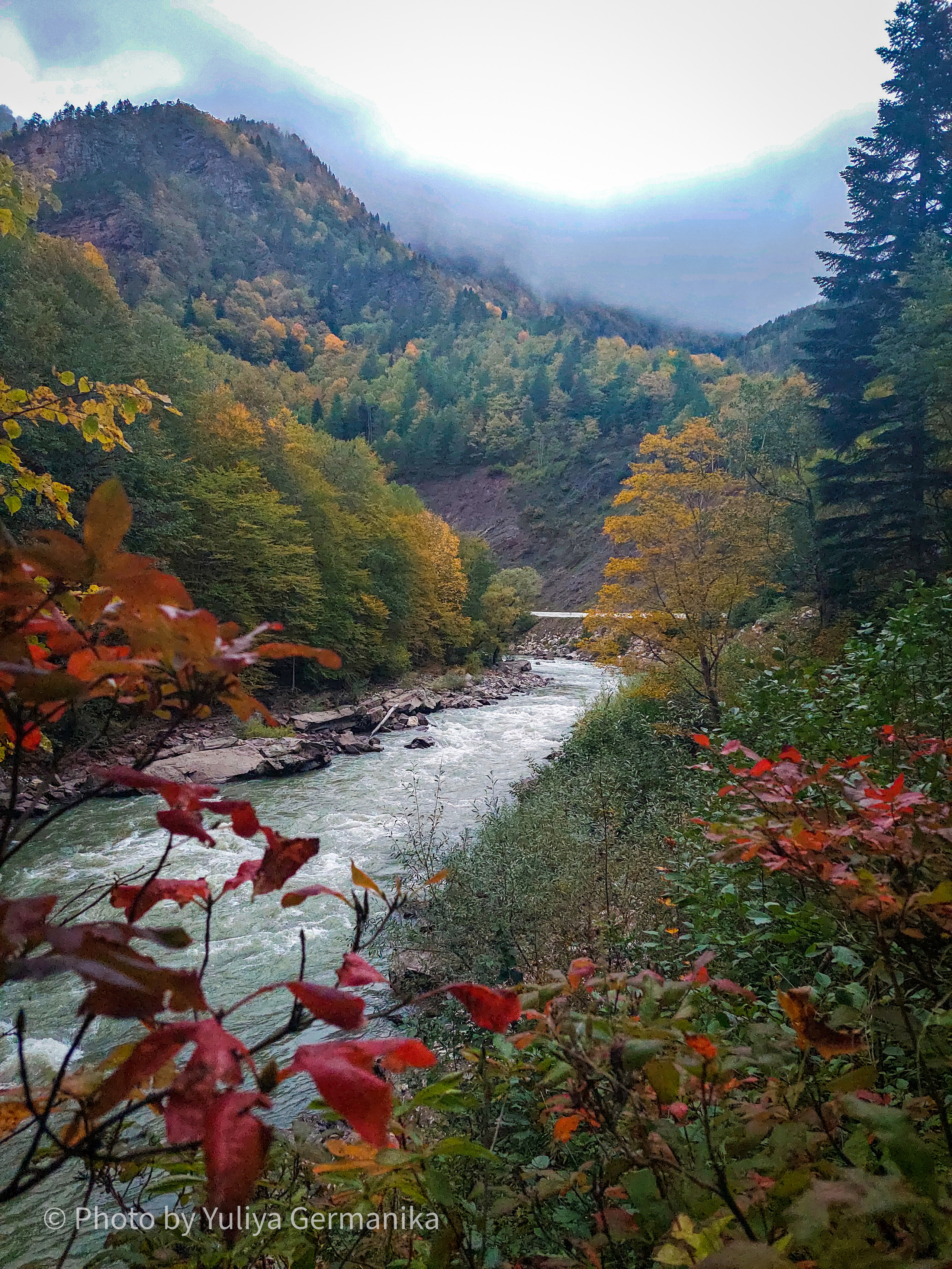 Разные фото на телефон.Города,природа. Фотограф-анималист Юлия Германика