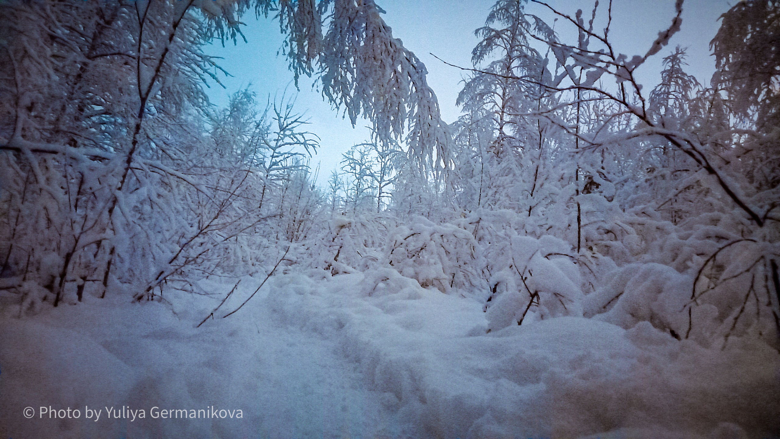 Разные фото на телефон.Города,природа. Фотограф-анималист Юлия Германика