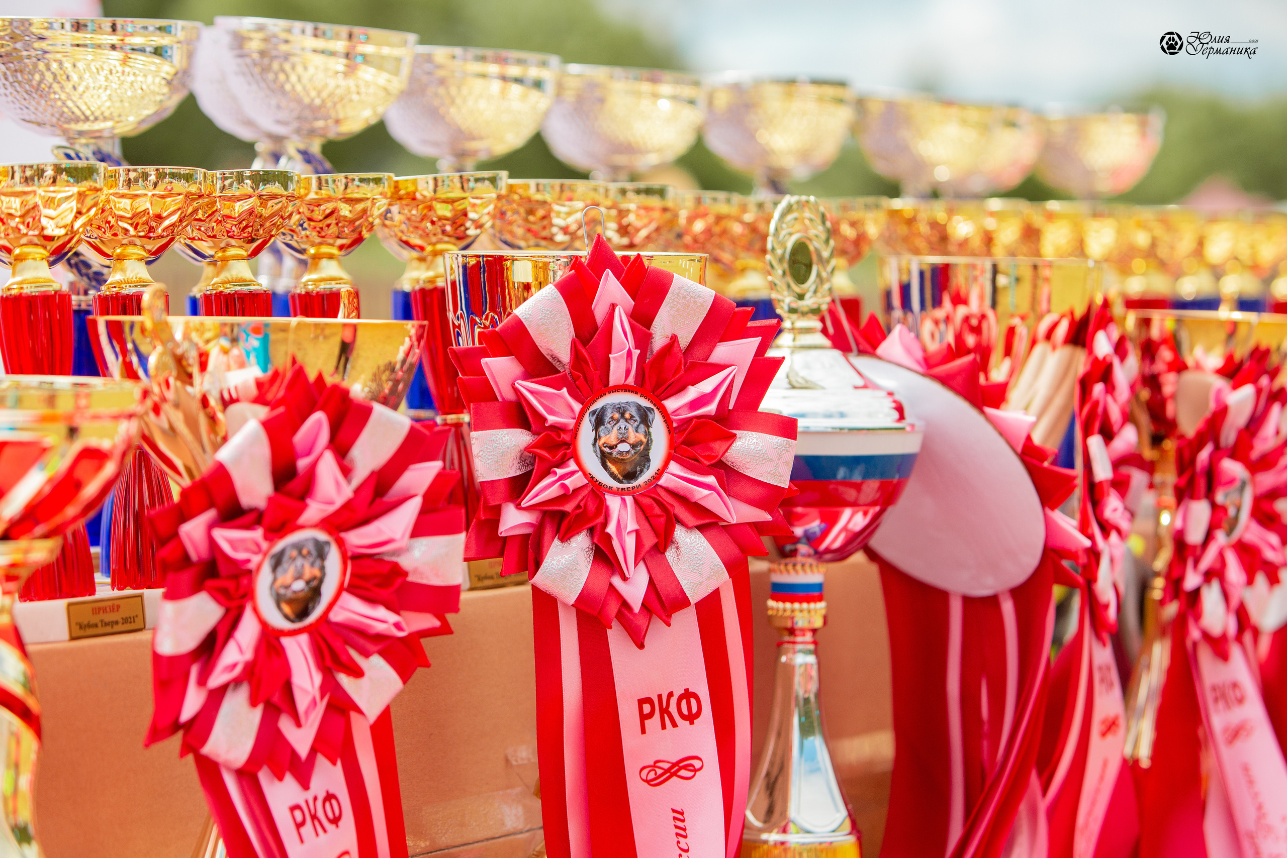 Тверь моно ротвейлеров 3-4 июля 2021. Фотограф-анималист Юлия Германика