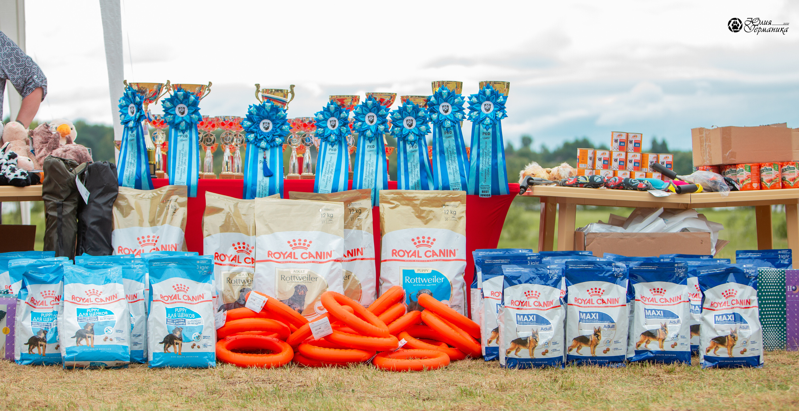 Тверь моно ротвейлеров 3-4 июля 2021. Фотограф-анималист Юлия Германика