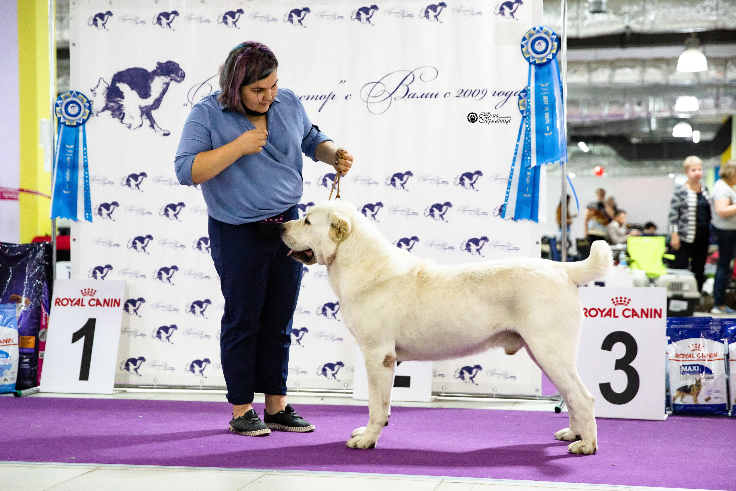 Чайна-Таун 2021. Фотограф-анималист Юлия Германика