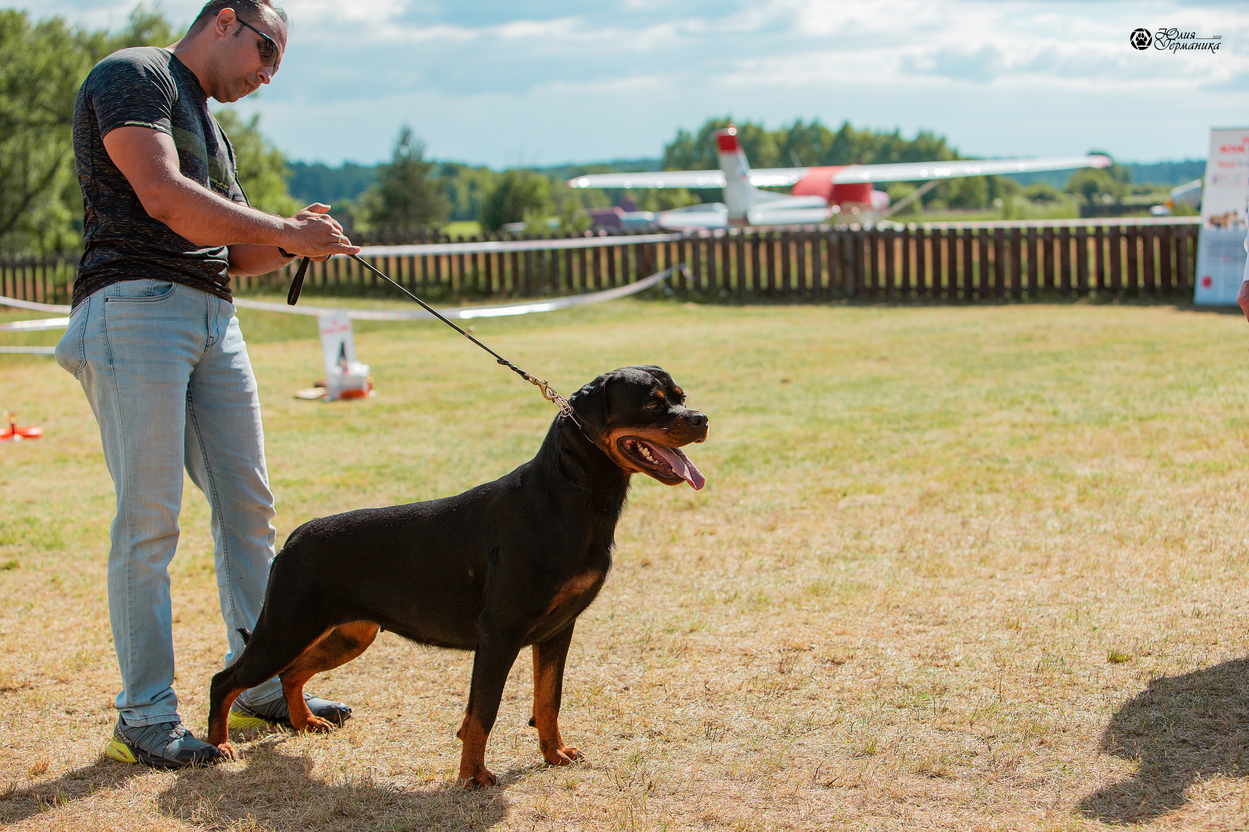 Тверь моно ротвейлеров 3-4 июля 2021. Фотограф-анималист Юлия Германика