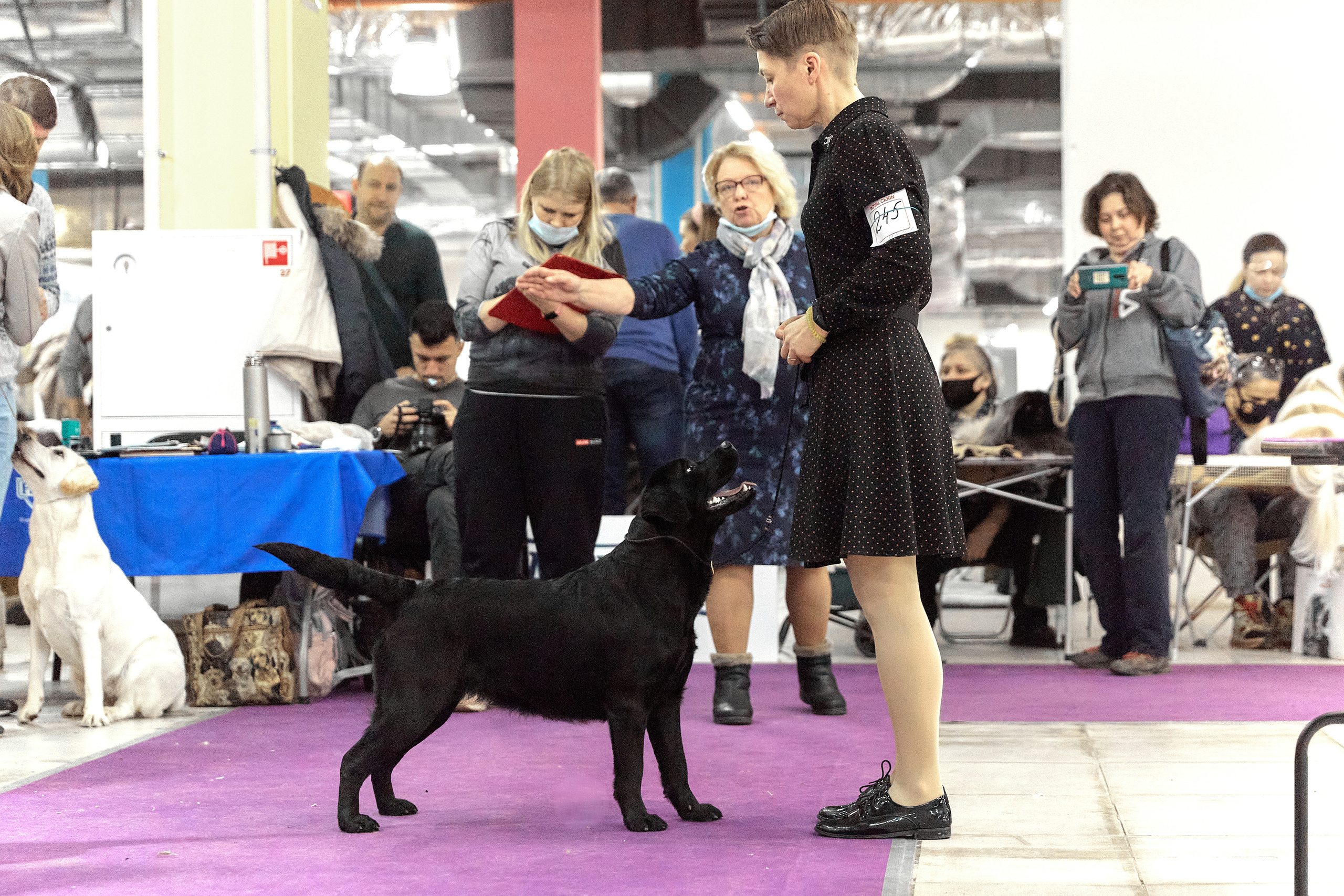 Чайник  13-14 ноября 2021. Фотограф-анималист Юлия Германика