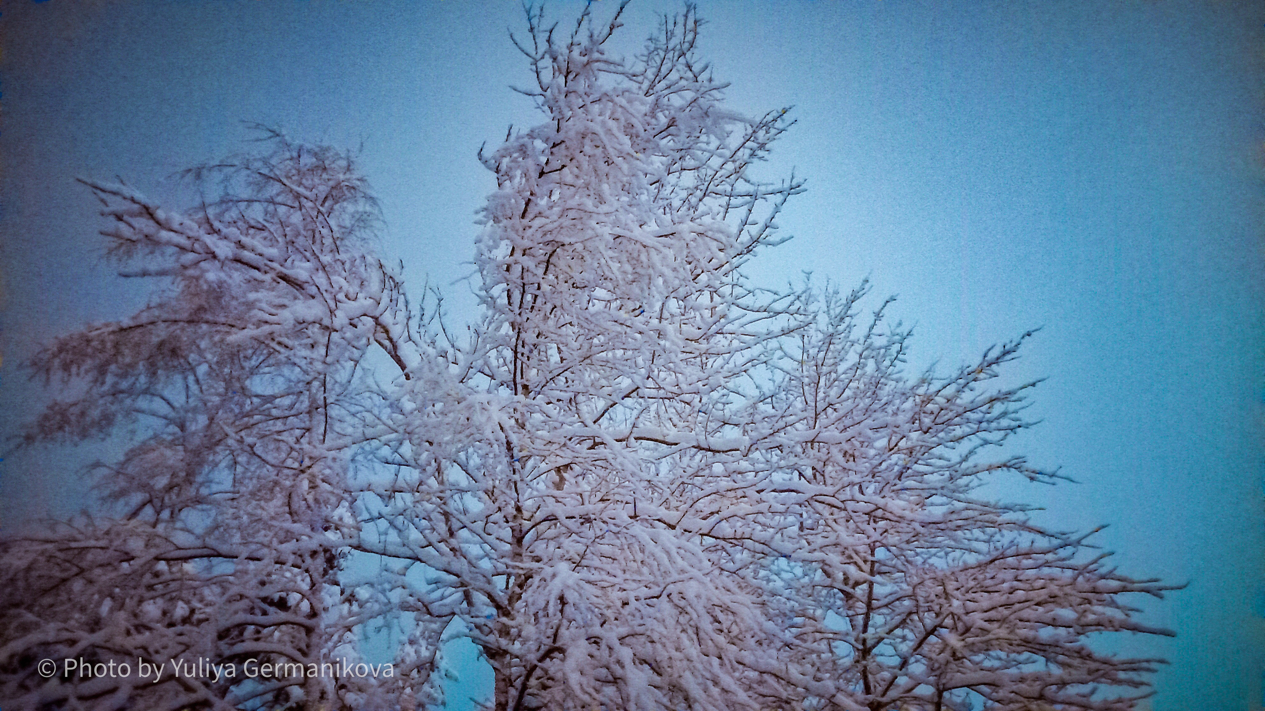 Разные фото на телефон.Города,природа. Фотограф-анималист Юлия Германика