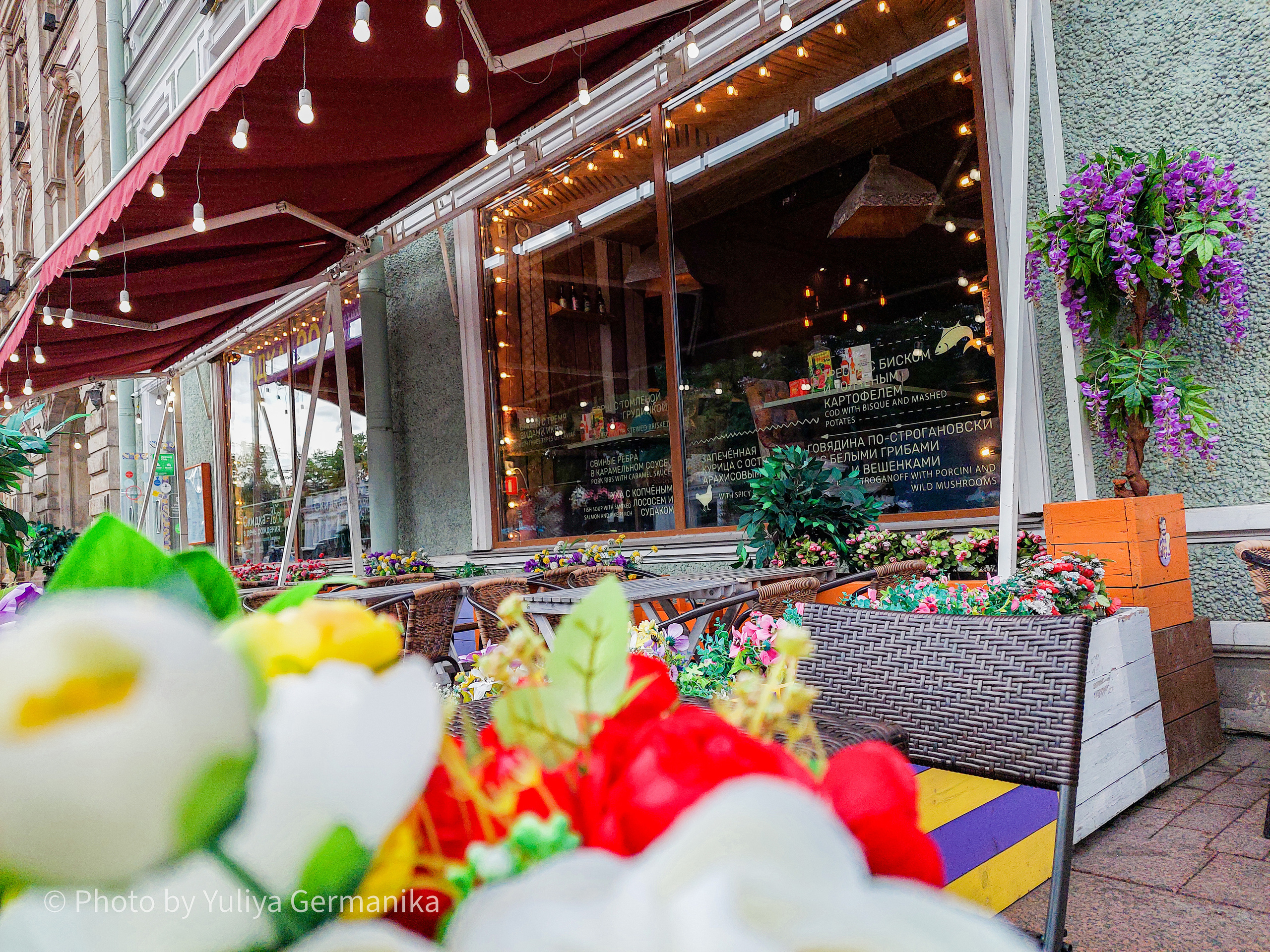 Разные фото на телефон.Города,природа. Фотограф-анималист Юлия Германика