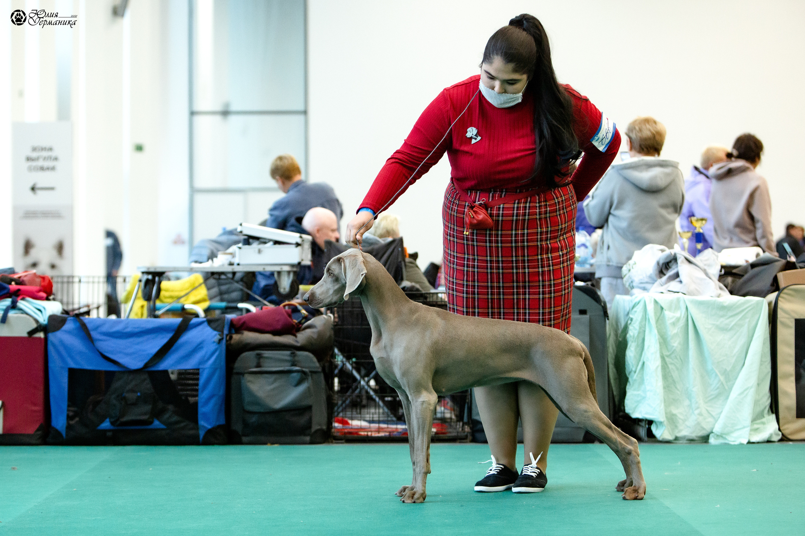 Нижний Новгород 3хCACIB 15-17 октября 2021. Фотограф-анималист Юлия Германика