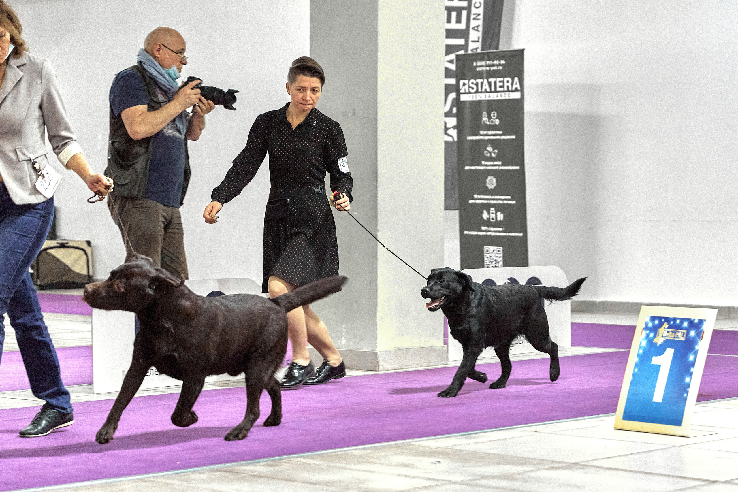 Чайник  13-14 ноября 2021. Фотограф-анималист Юлия Германика