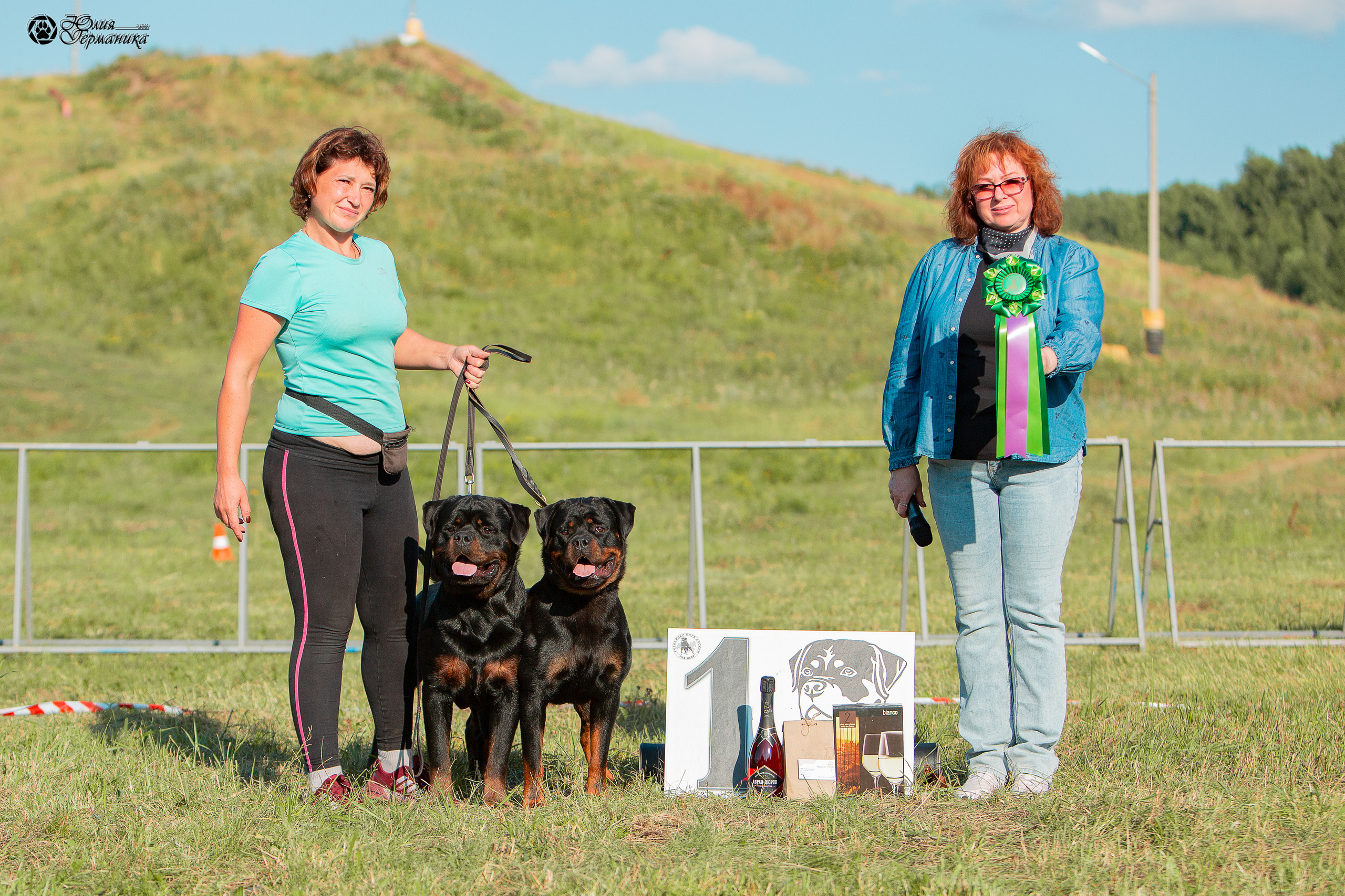 Рязань,Ховрино 14-15 августа 2021 моно ротвейлеров. Фотограф-анималист Юлия Германика